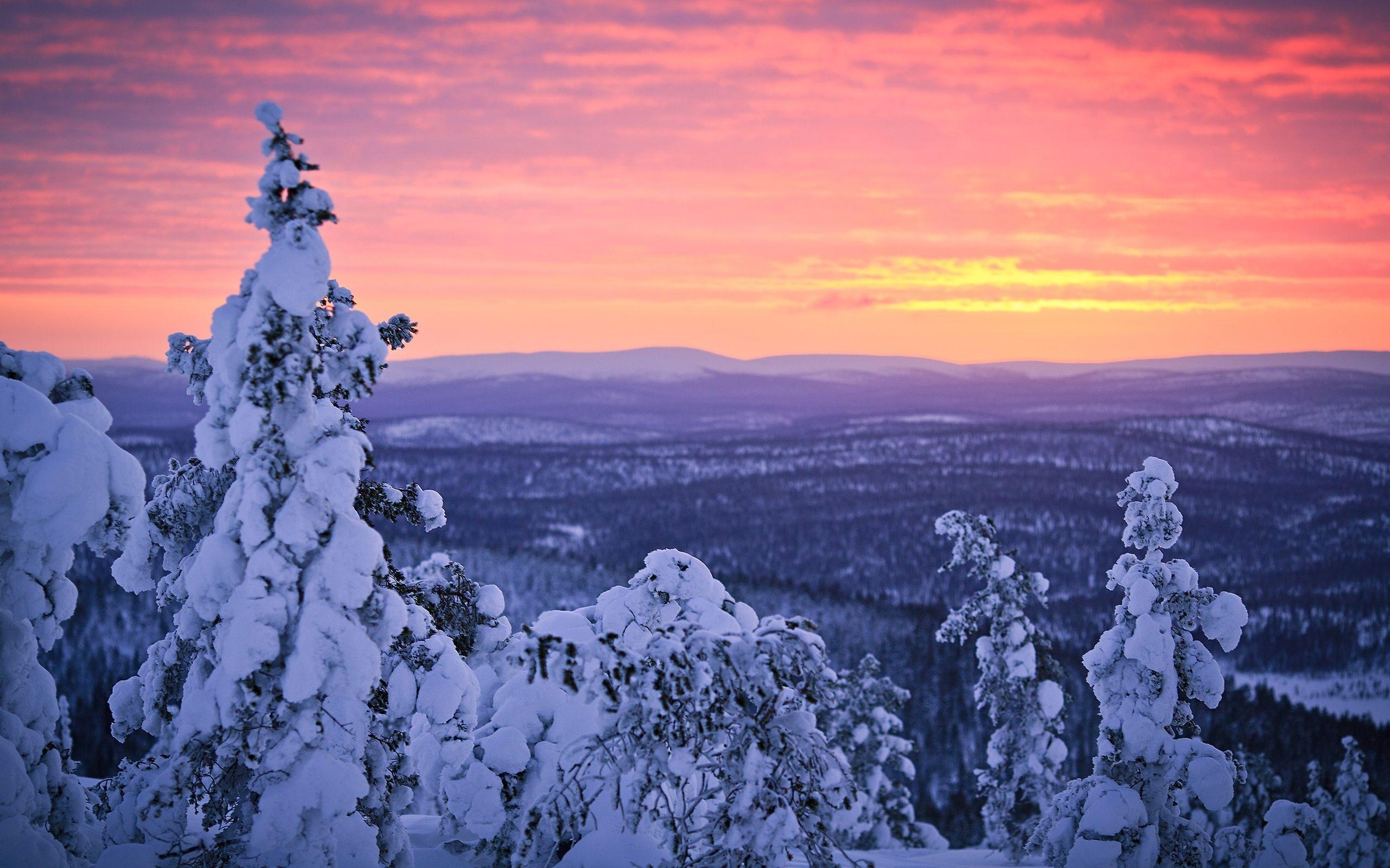 2560x1600 Lapland Snow Finland Wallpaper, Desktop