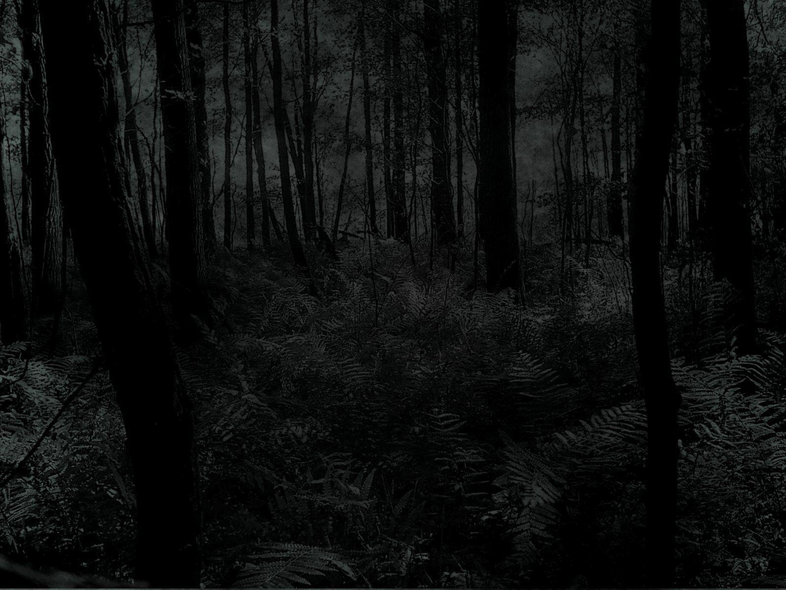 1600x1200 Wallpaper For > Animated Dark Forest Background, Desktop