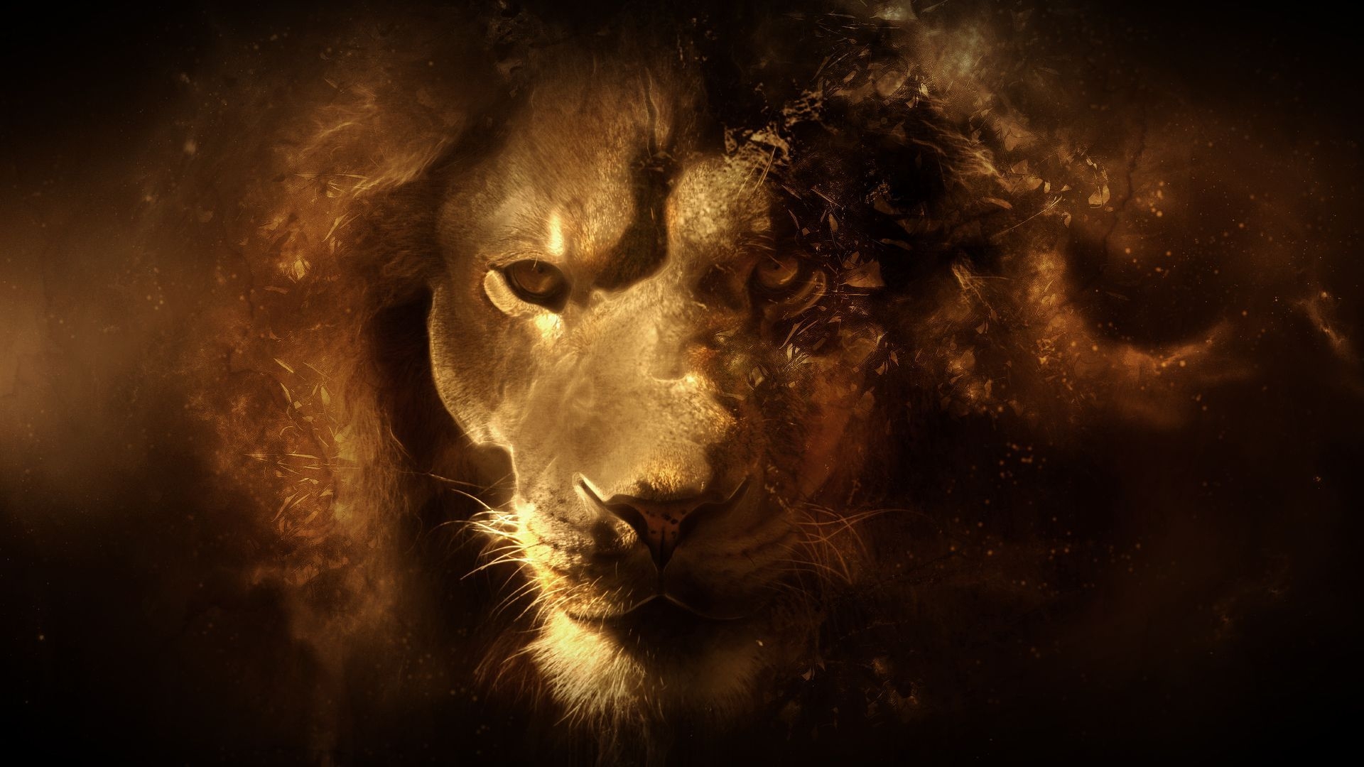 1920x1080 Lion Strength, Desktop