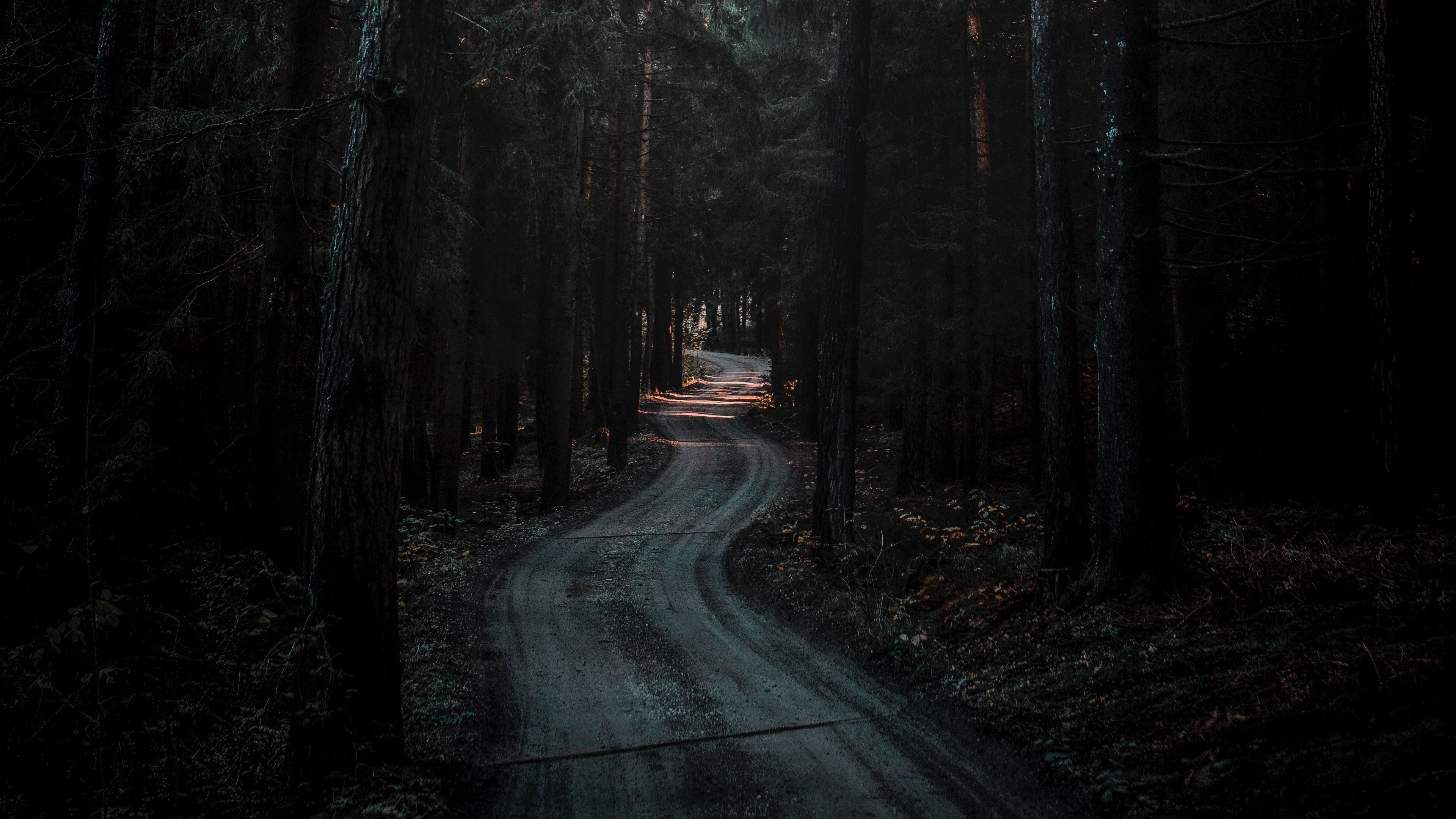 3840x2160 Forest Road Dark wallpaper. Forest road, Dark wallpaper, Desktop, Desktop