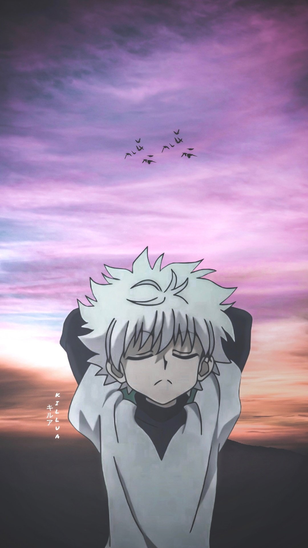 1080x1920 Best Killua iPhone Wallpaper, Phone