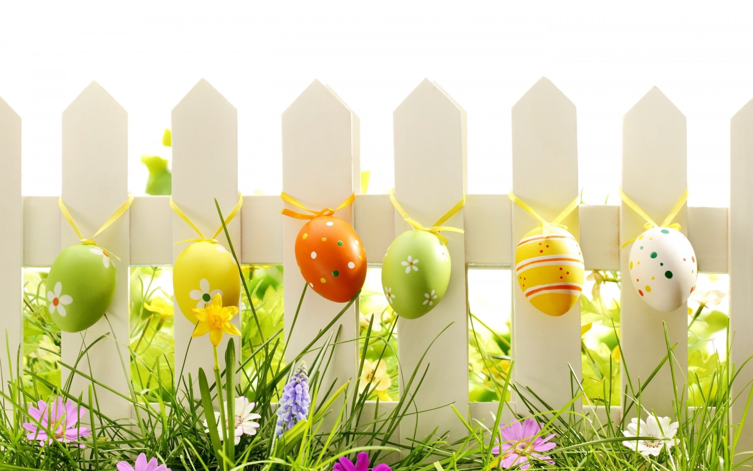 2560x1600 Easter Desktop Wallpaper, Desktop