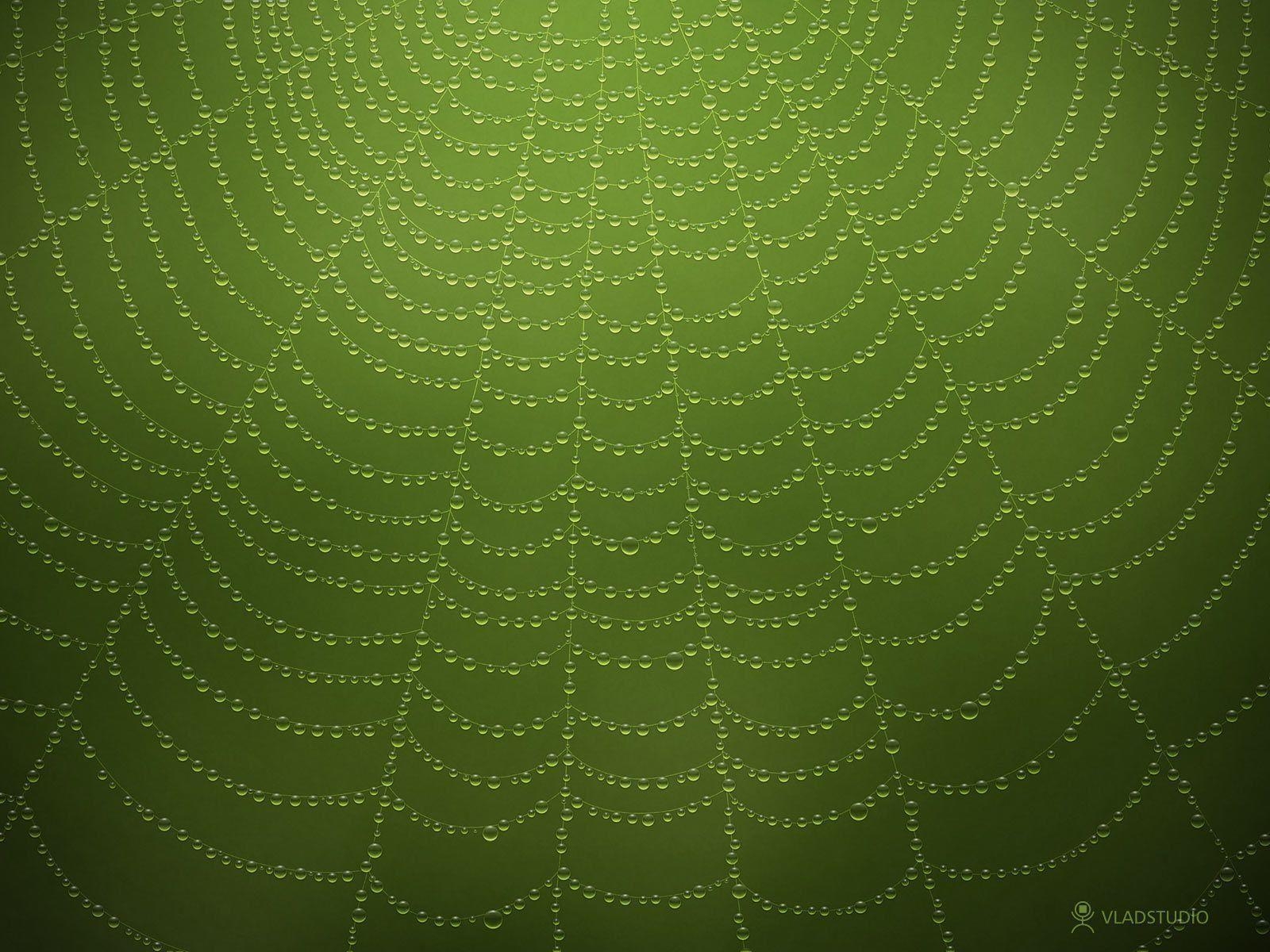 1600x1200 Water drops on a spider web 2, Desktop