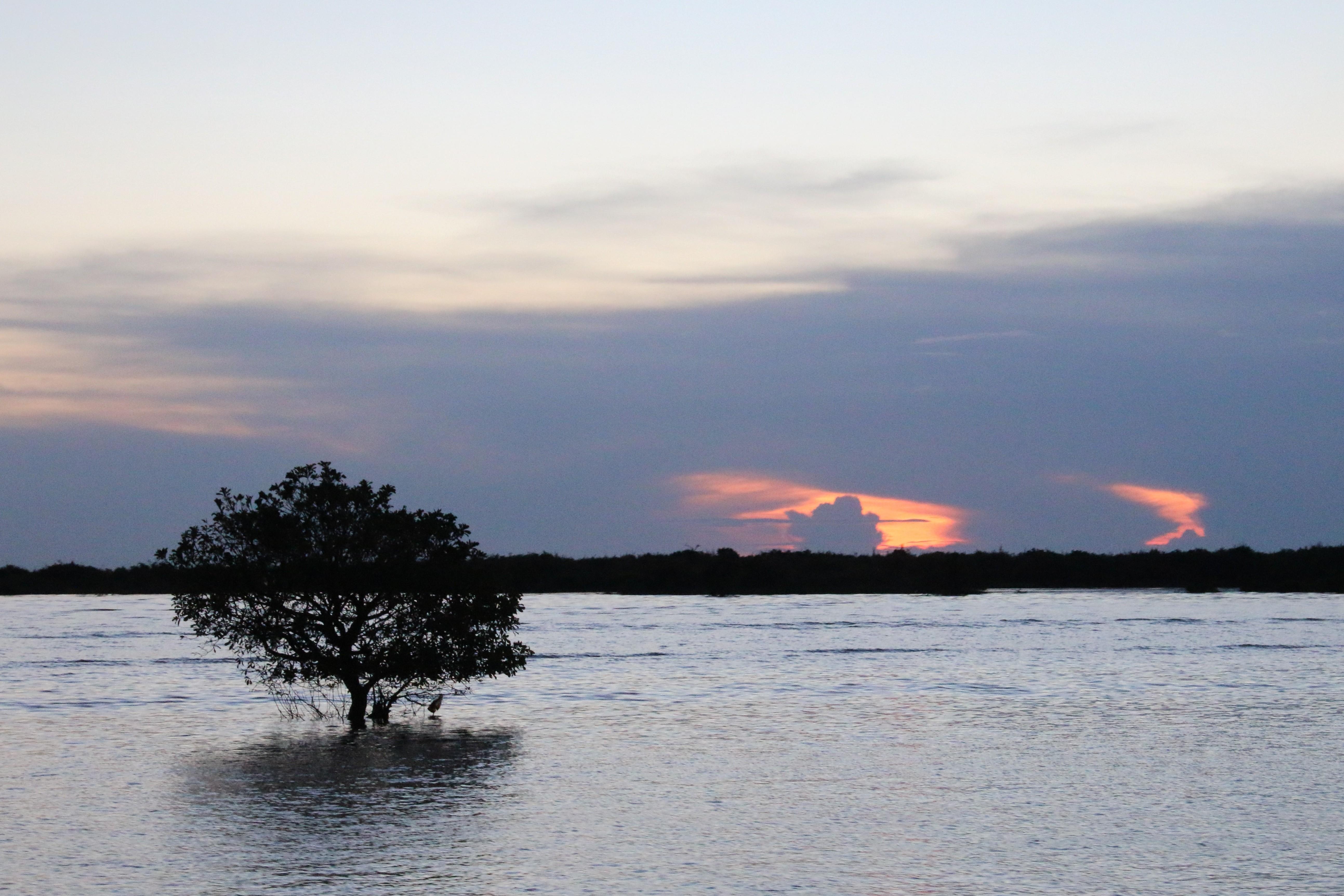 5180x3450 Siem Reap, Sunset, Water, Lake, Sea, Blue, Trees Wallpaper HD, Desktop