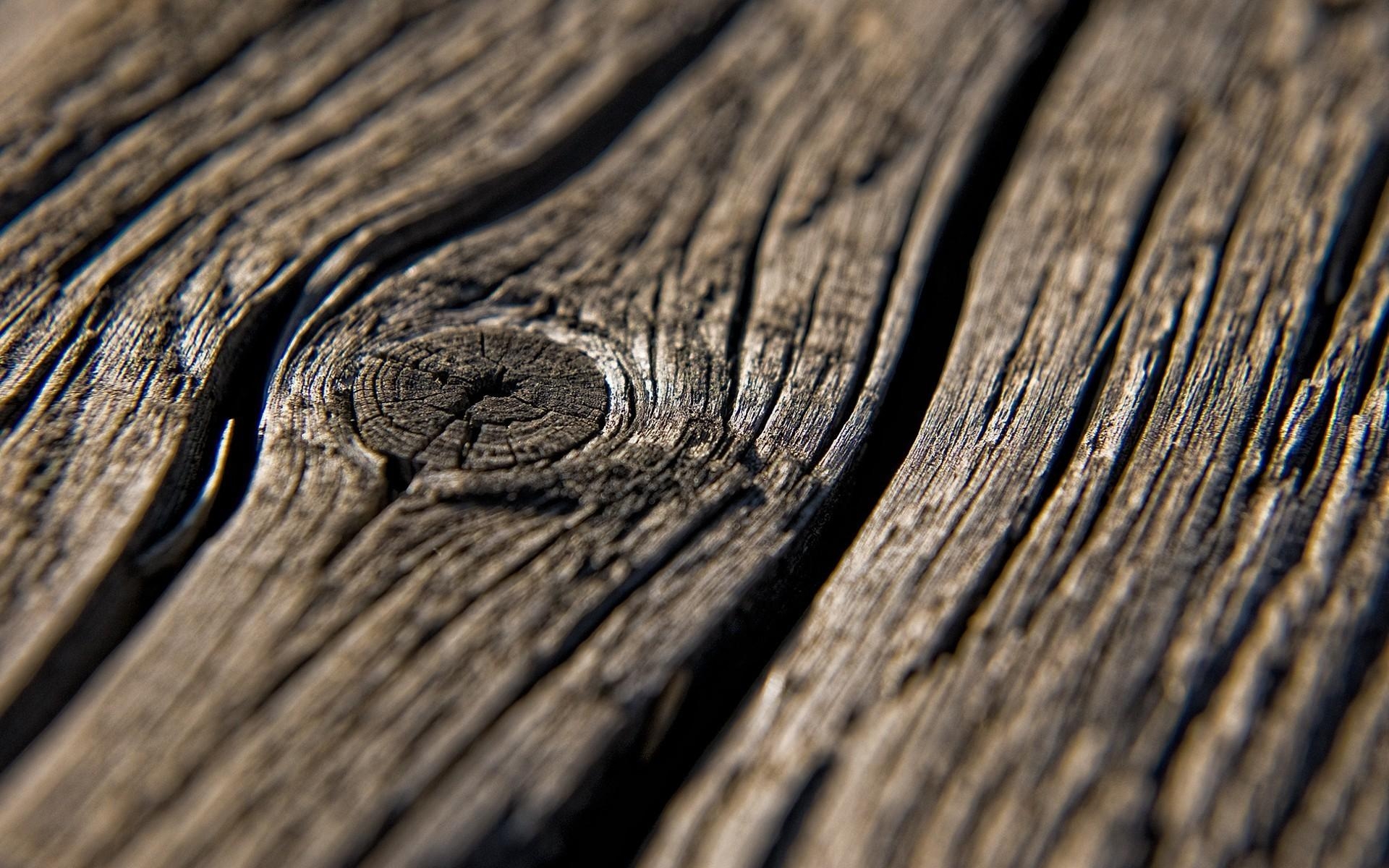 1920x1200 Knot nature textures wood texture wallpaper, Desktop