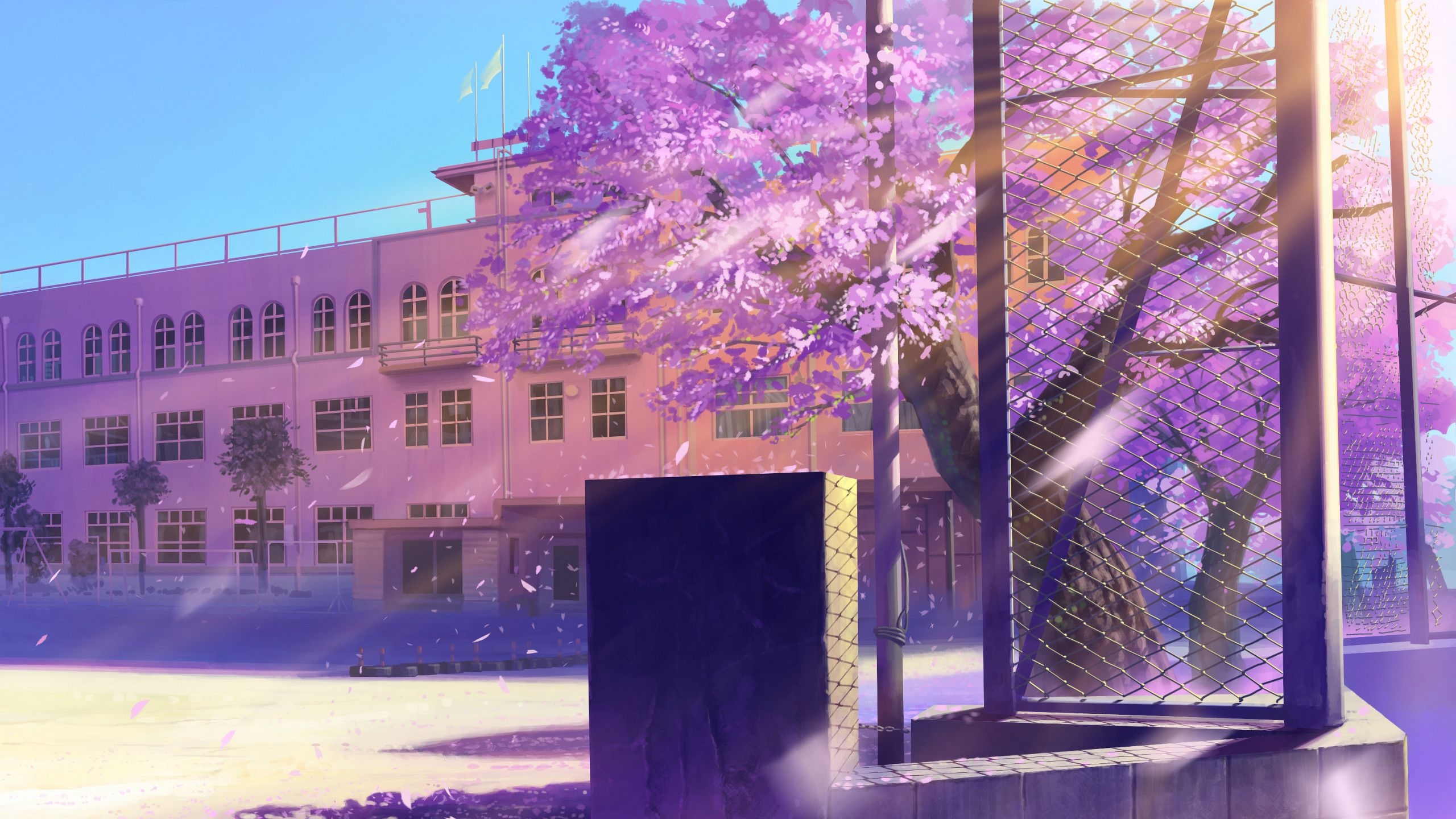 2560x1440 Anime Cherry Blossom Wallpaper, Desktop