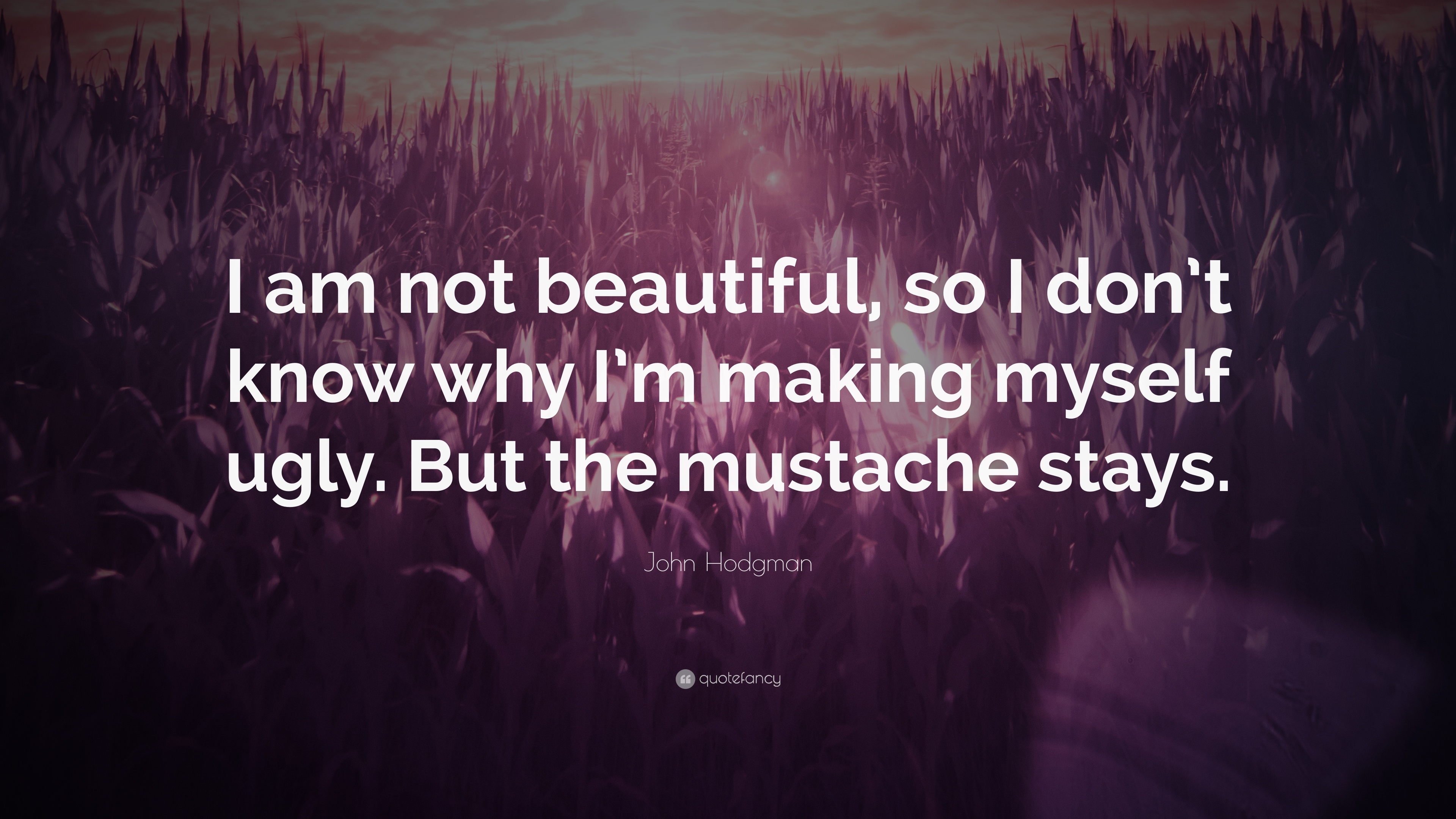 3840x2160 John Hodgman Quote: “I am not beautiful, so I don't know why, Desktop