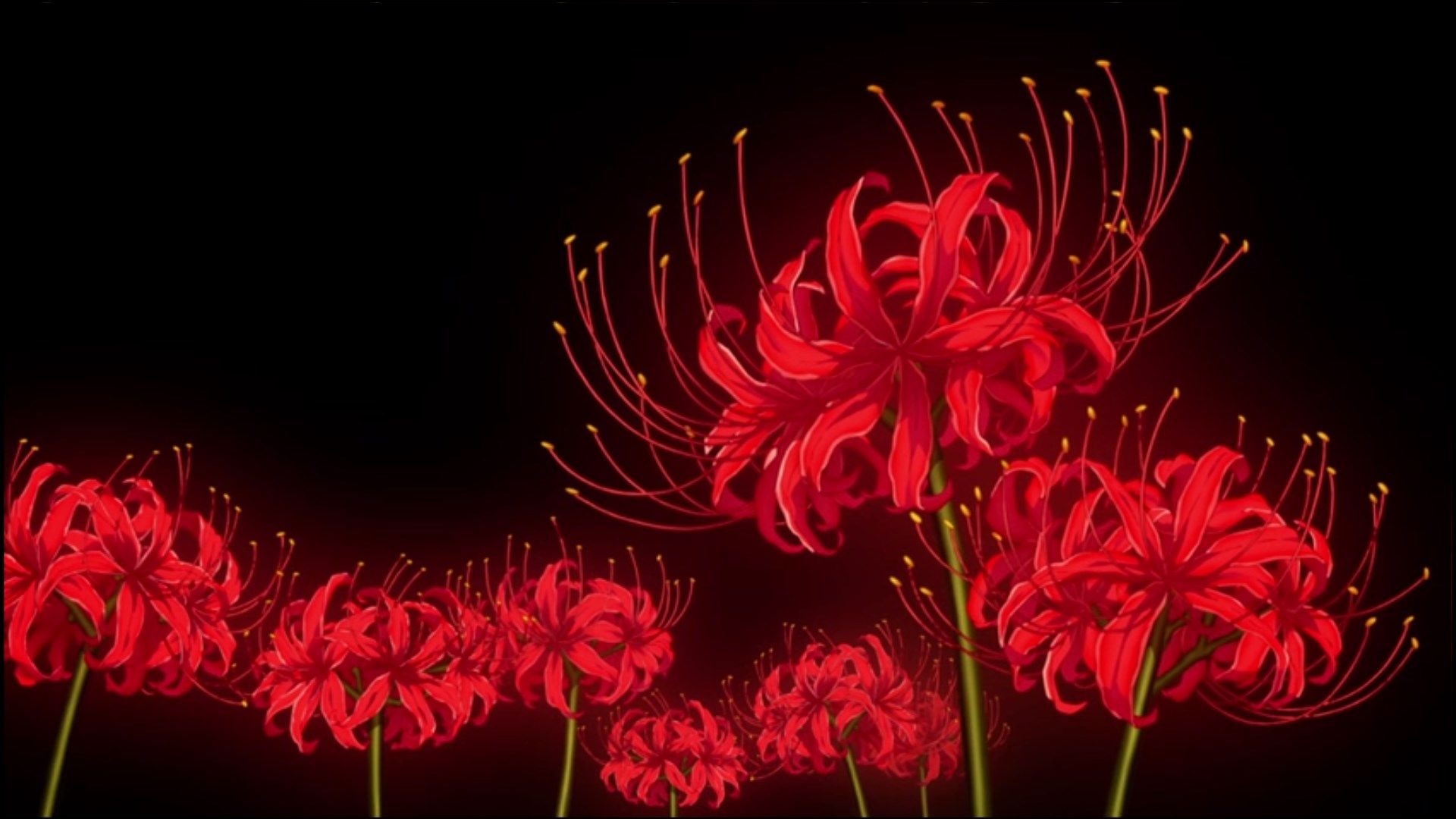 1920x1080 What's With These Flowers And Animes With Demons Ghouls? What Are, Desktop