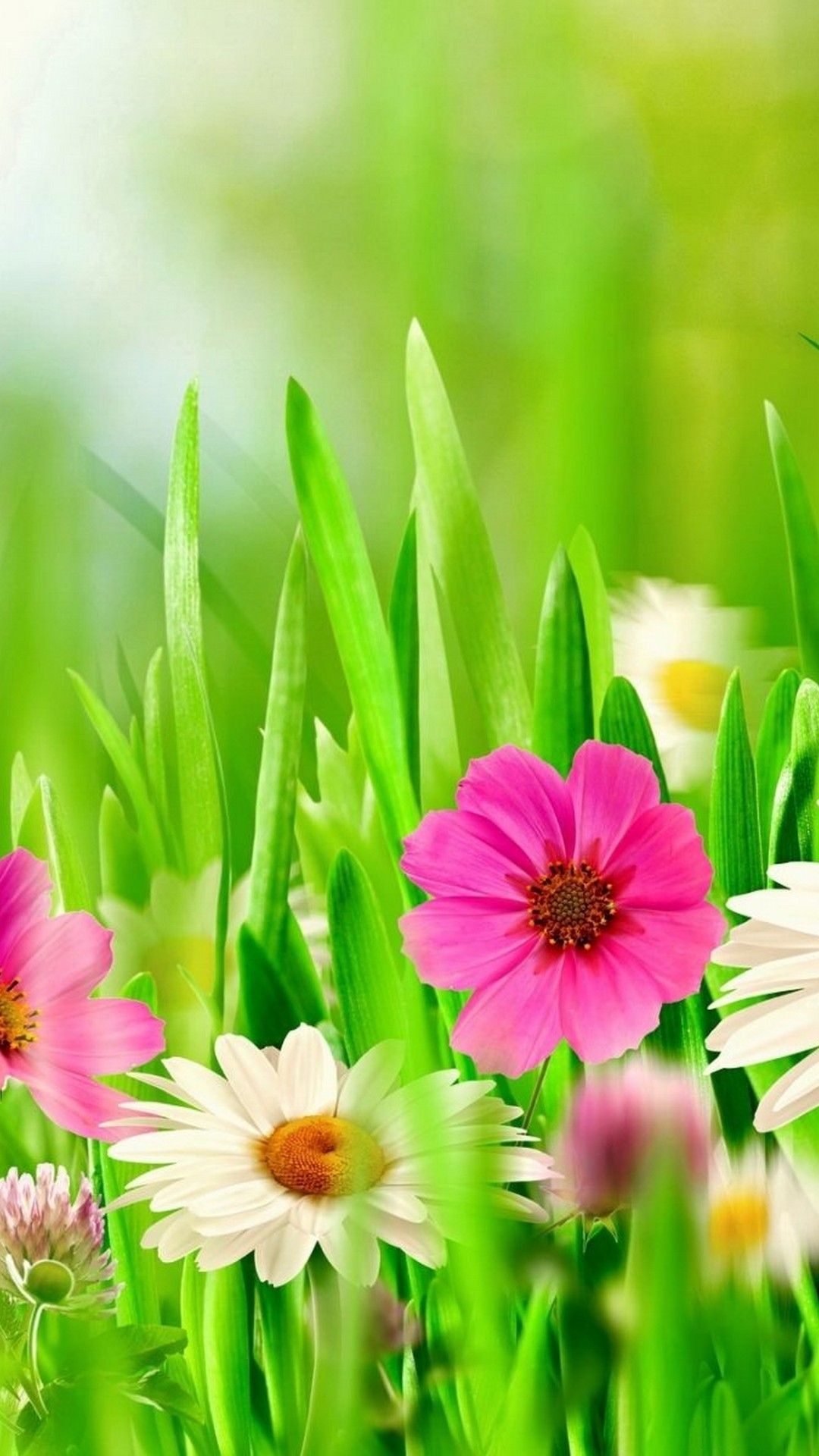 1080x1920 iPhone Wallpaper Spring Flowers 3D iPhone Wallpaper, Phone