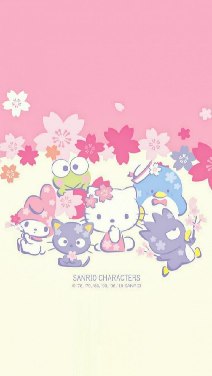 720x1270 Sanrio Wallpaper, Phone