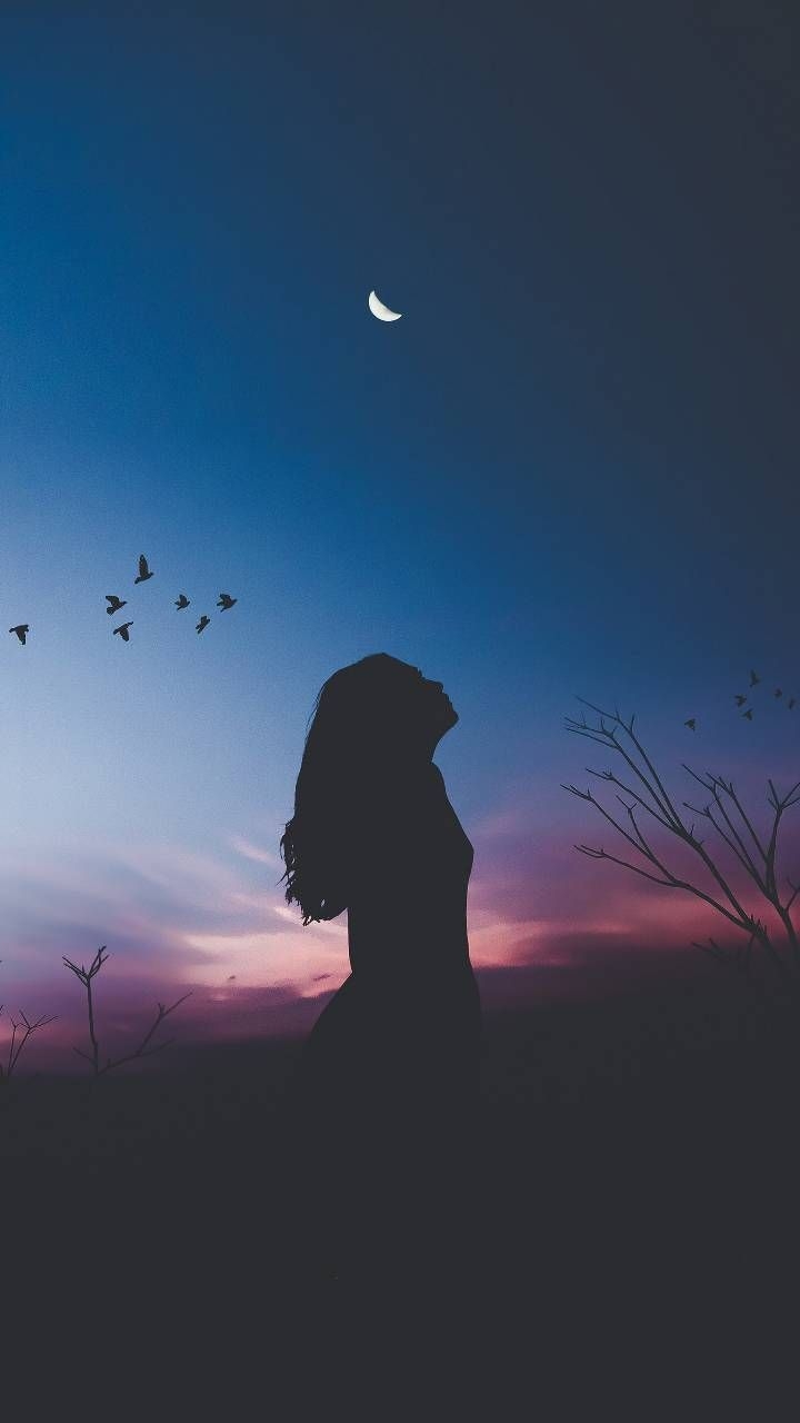 720x1280 Download Silhouette Wallpaper, Phone