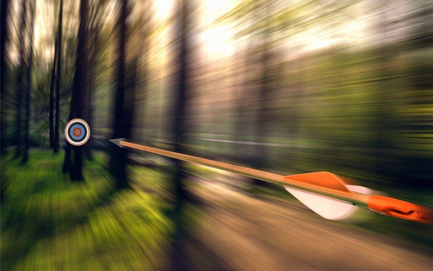 1440x900 bow and arrow wallpaper. Forest, Arrow, Target wallpaper. archery, Desktop