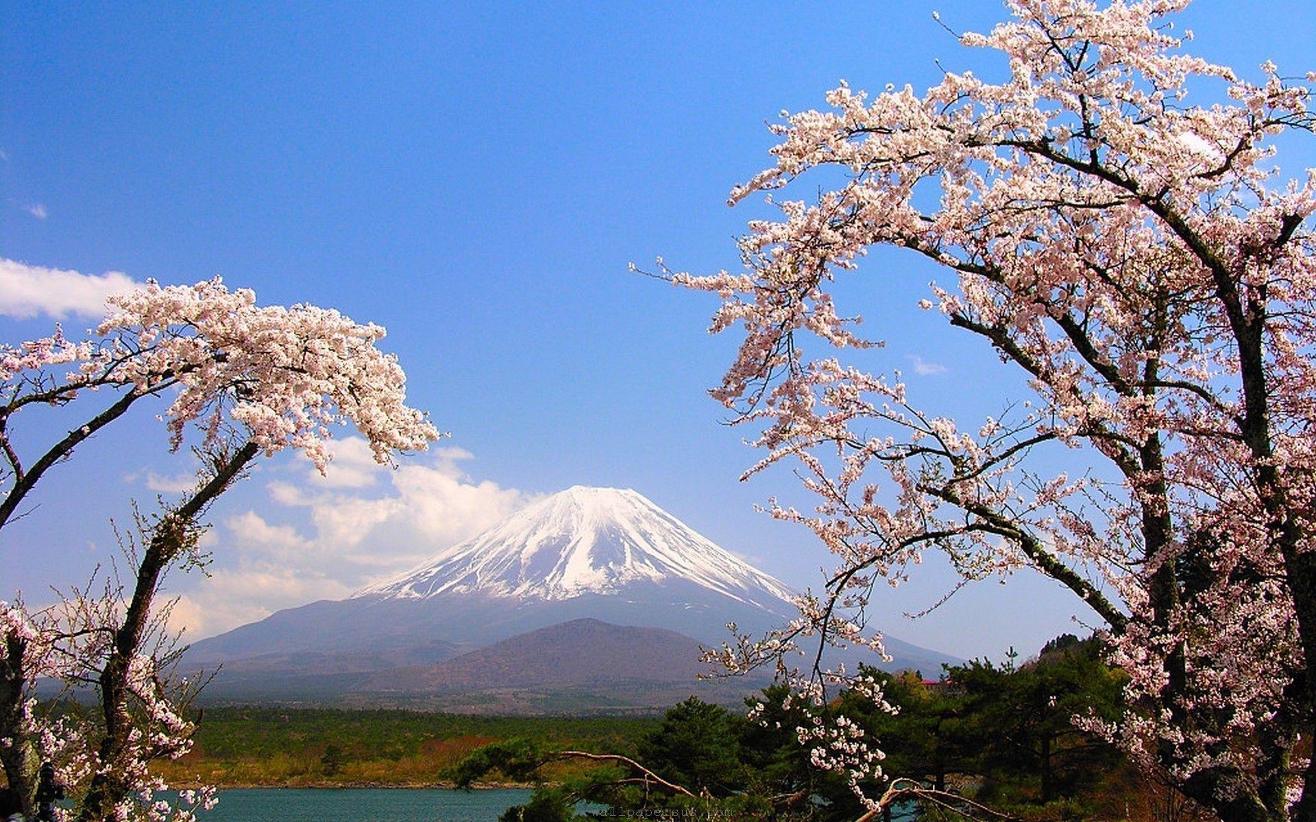 1920x1200 Mount Fuji High Definition Wallpaper. Travel HD Wallpaper, Desktop