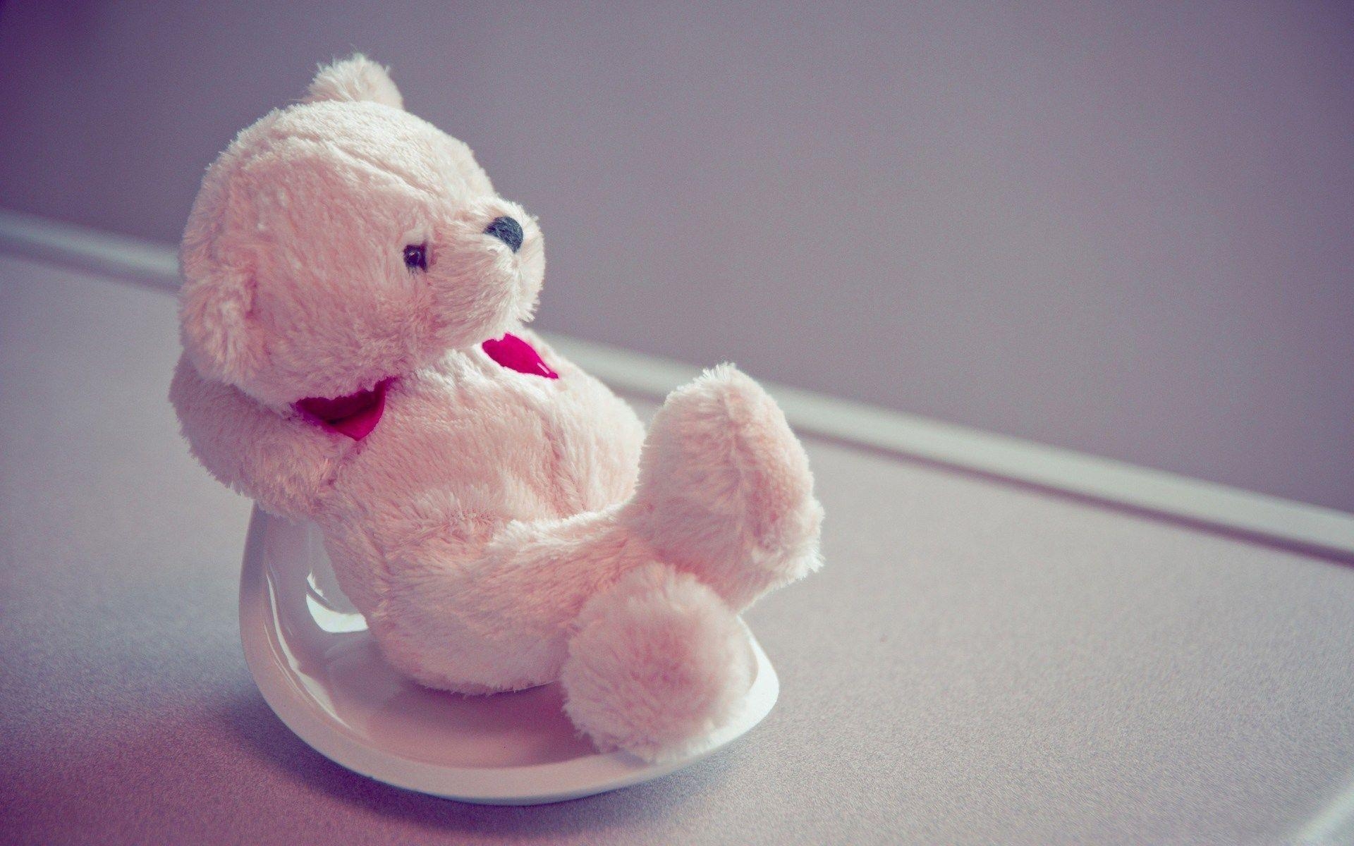 1920x1200 Smart Looking Teddy Bear Wallpaper, Desktop