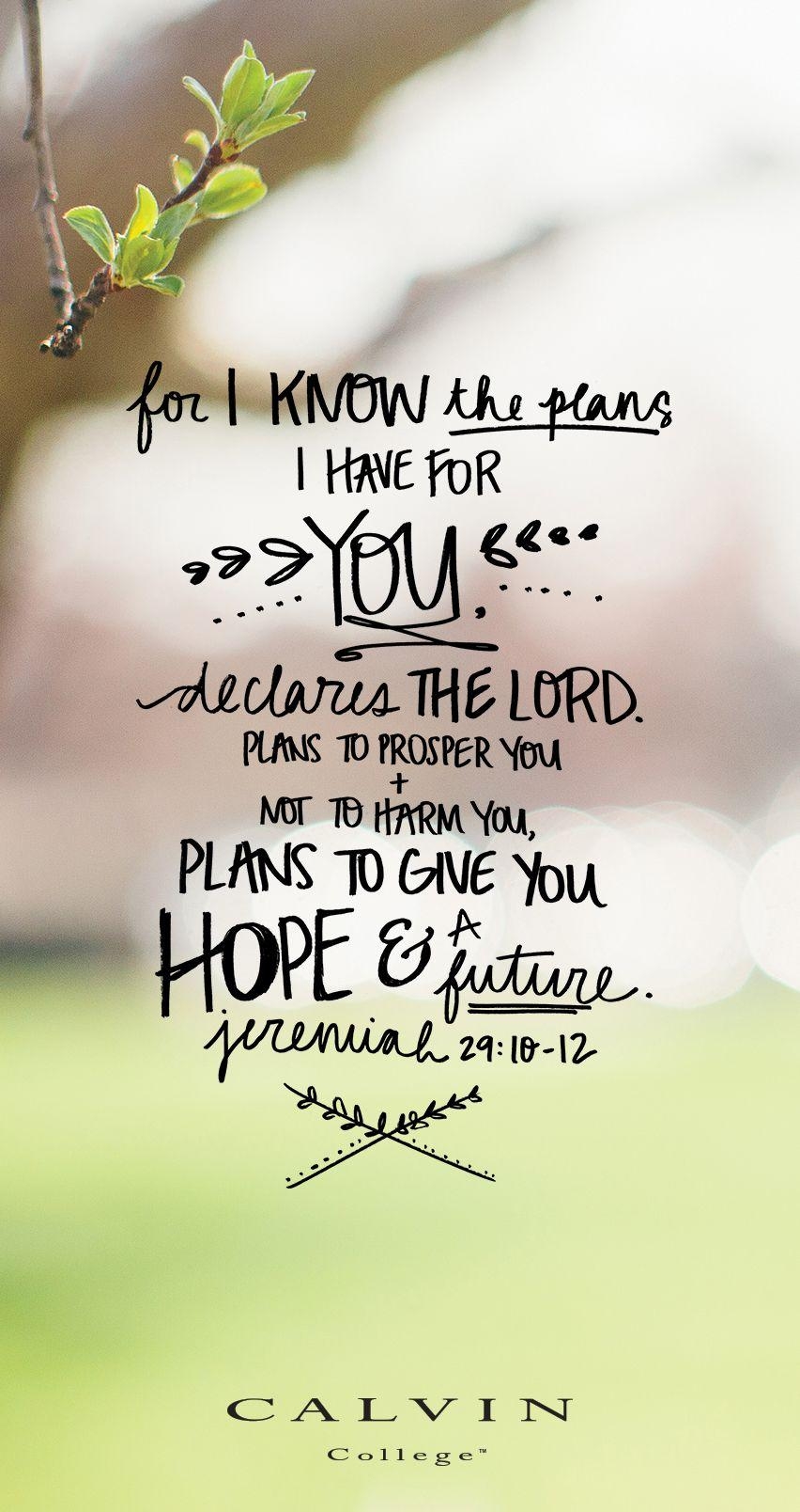 860x1610 Scripture Verse Wallpaper, Phone