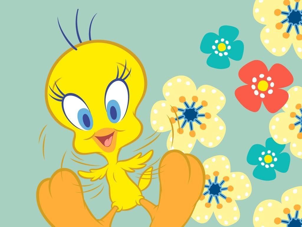 1030x770 Tweety Bird Tweety Bird For Desktops Cartoon Wallpaper, Desktop