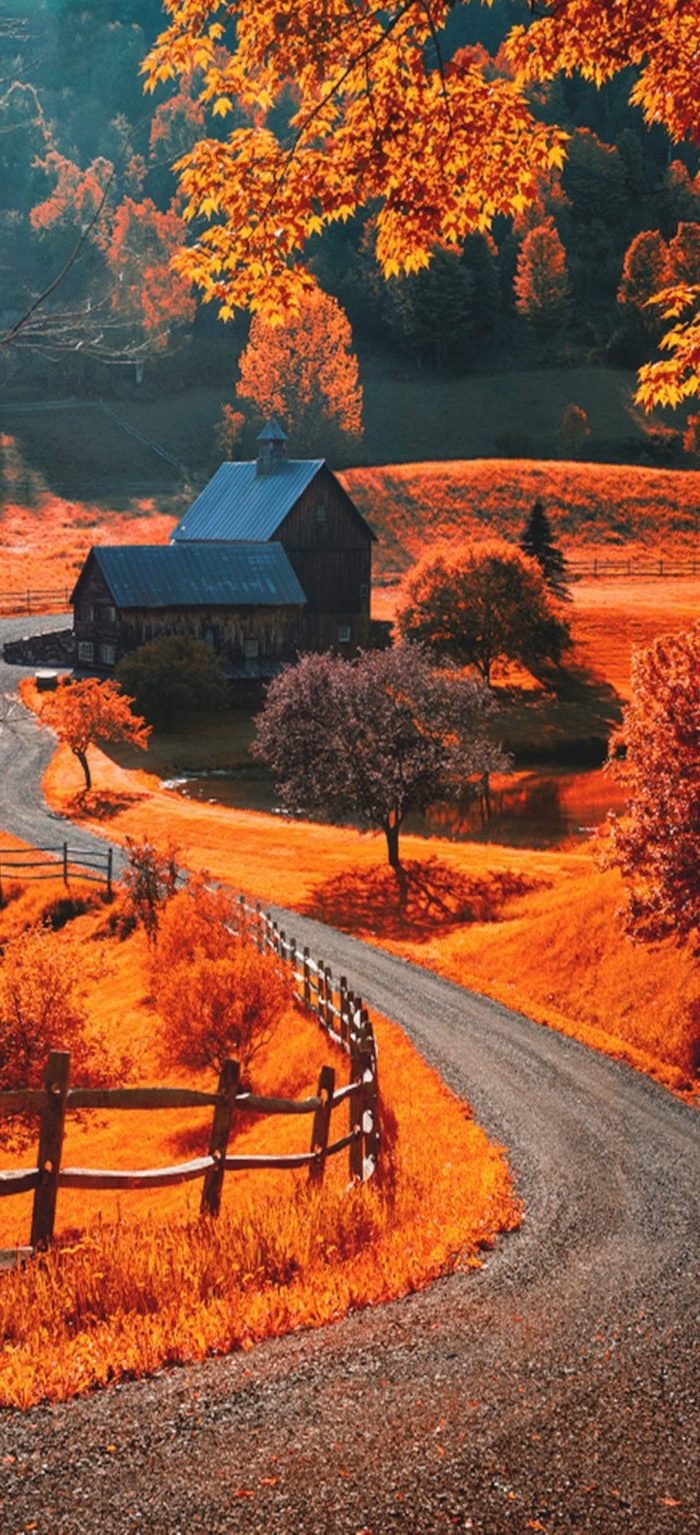 700x1540 Cute Fall Wallpaper, Phone