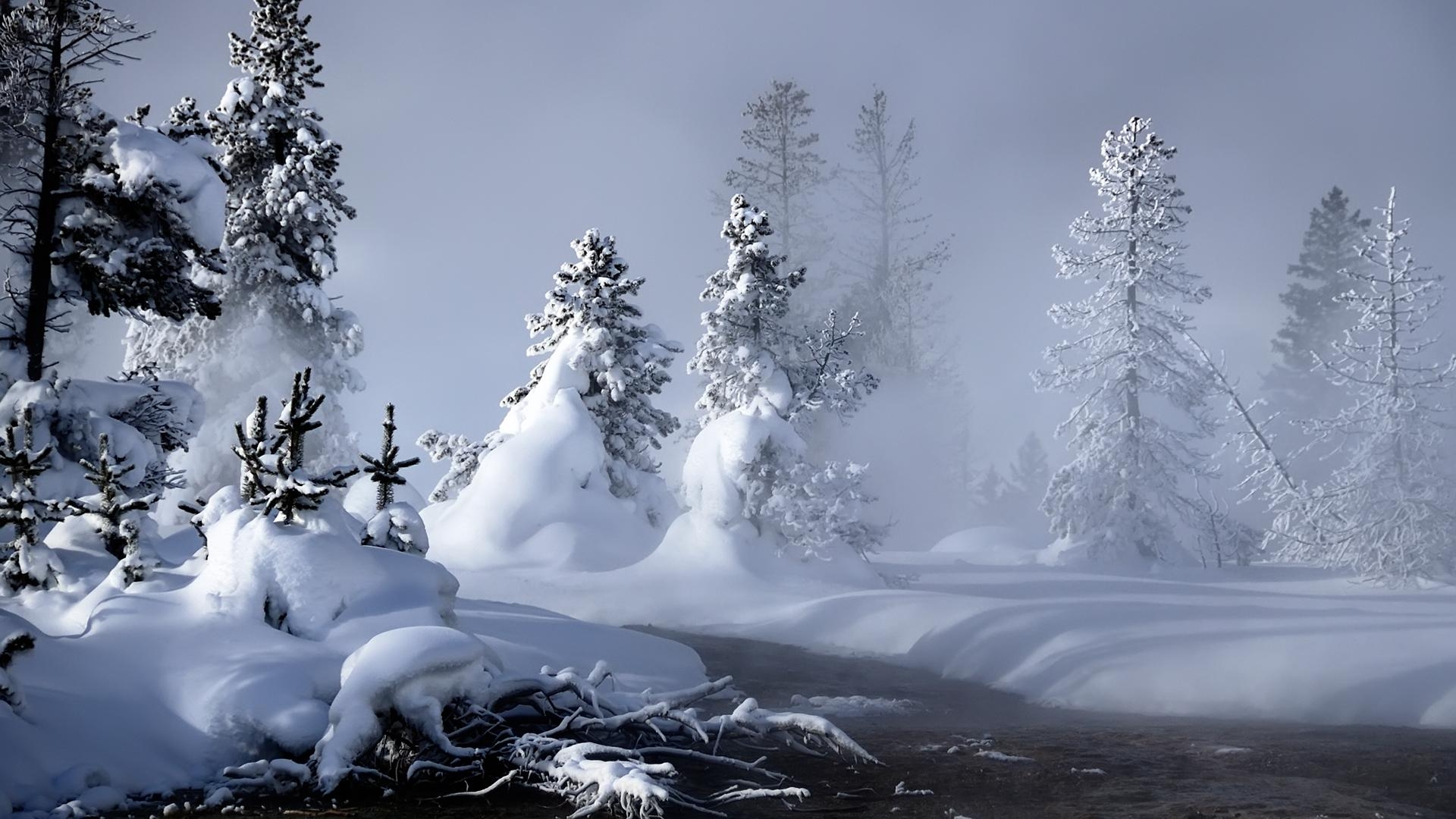 1920x1080 Amazing Winter Season wallpaperx1080, Desktop