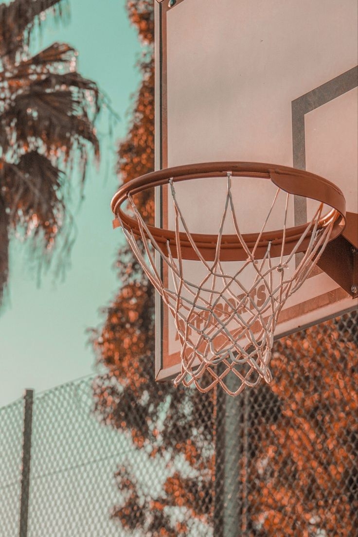 740x1110 Basketball Net Aesthetic California Tones. Basketball wallpaper, Basketball photography, Basketball. Basketball wallpaper, Basketball art, Basketball photography, Phone