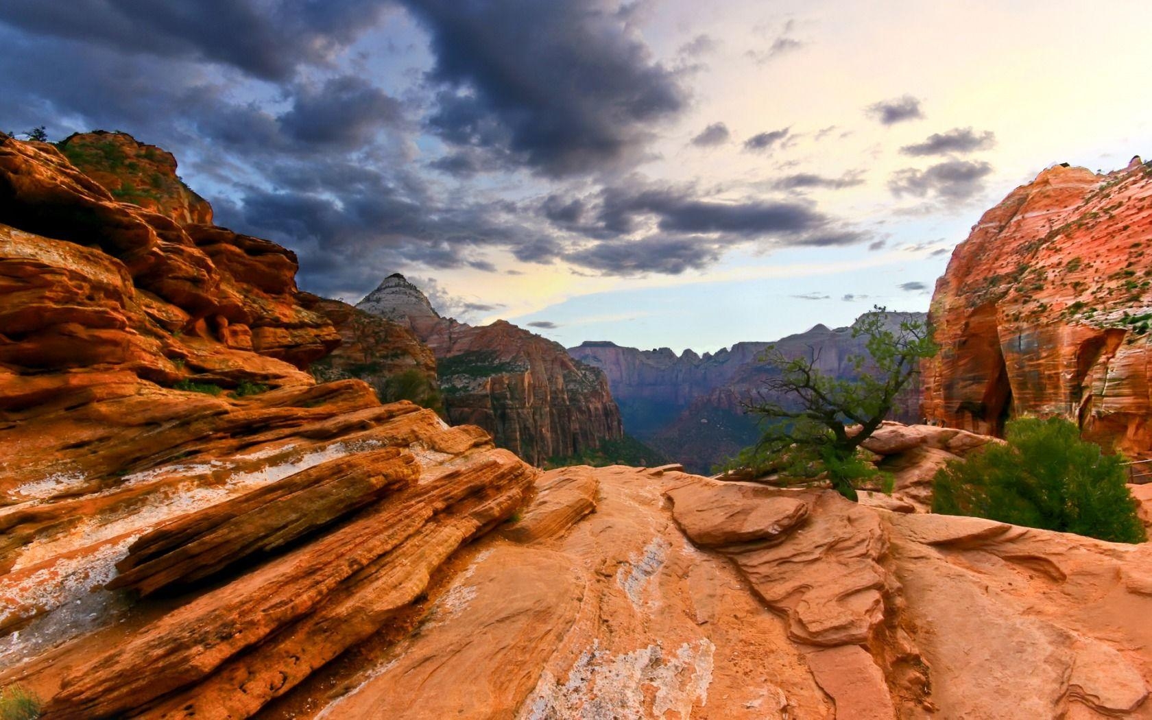 1680x1050 Zion National Park Wallpaper Landscape Nature Wallpaper in jpg, Desktop