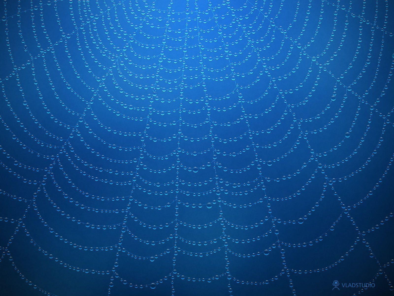 1600x1200 Spiderweb Wallpaper, Spiderweb Waterdrops Blue Pulsar Ecard, Desktop