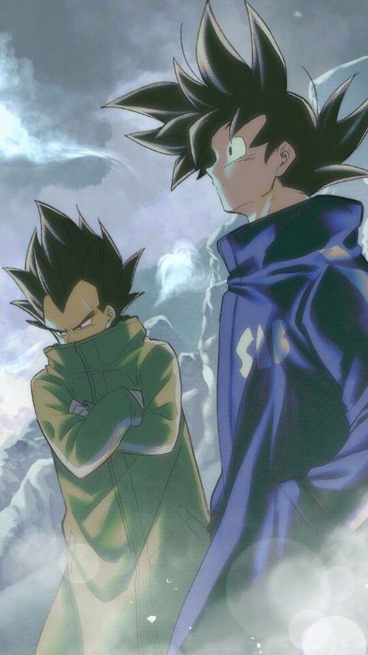 720x1280 Drip Goku and Vegeta Wallpaper. Fond d'écran dragon, Fond d'ecran dessin, Goku et vegeta, Phone