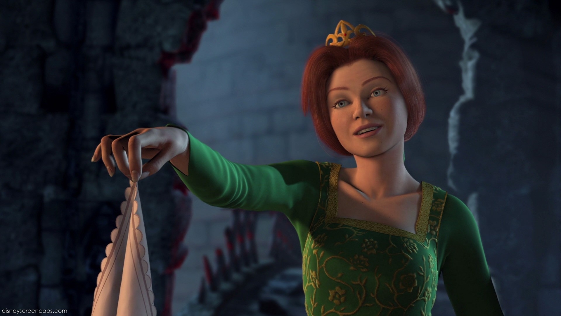 1920x1080 Princess Fiona HD Wallpaper and Background, Desktop