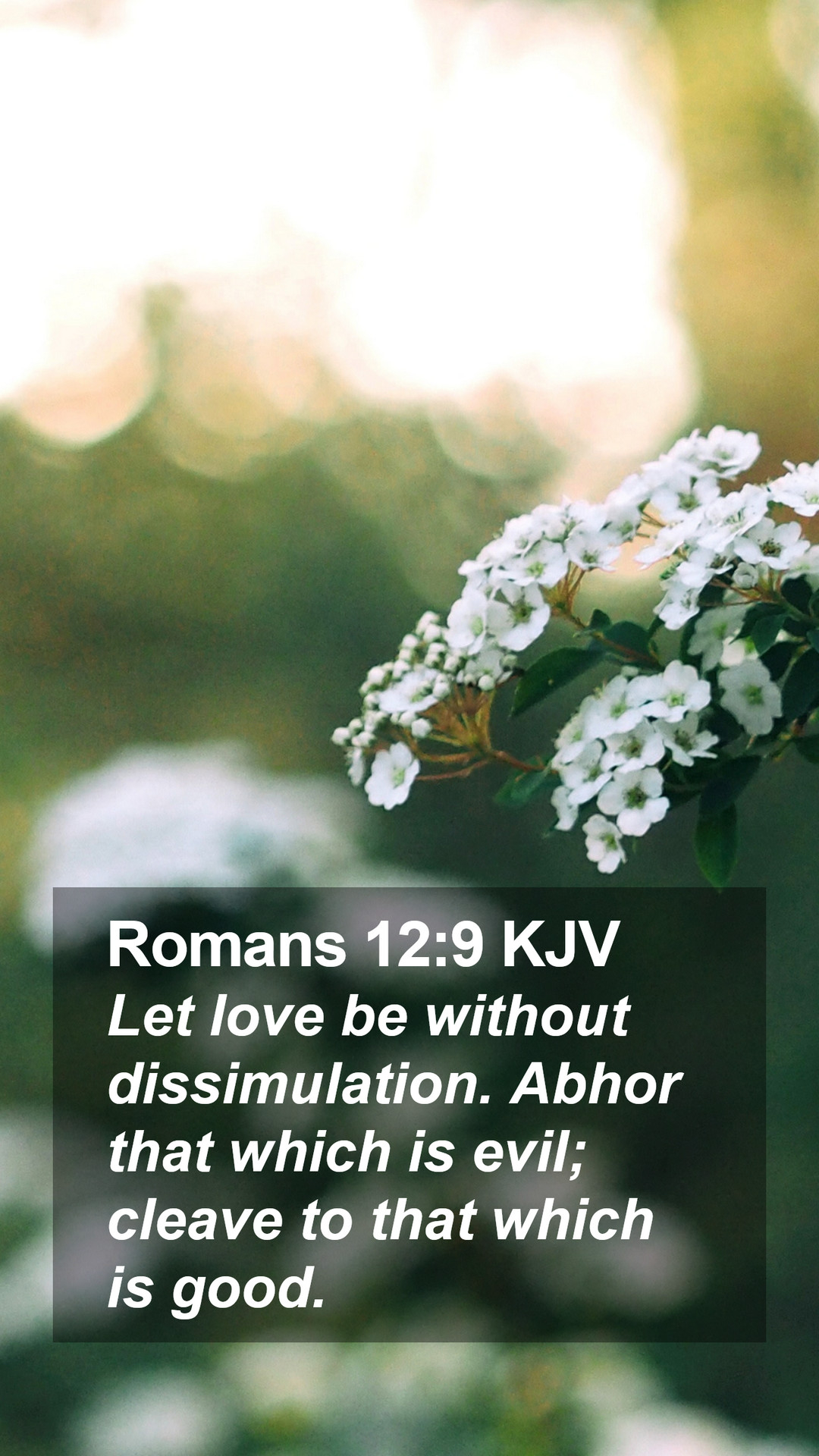 1080x1920 Romans 12:9 KJV Mobile Phone Wallpaper love be without dissimulation. Abhor that, Phone