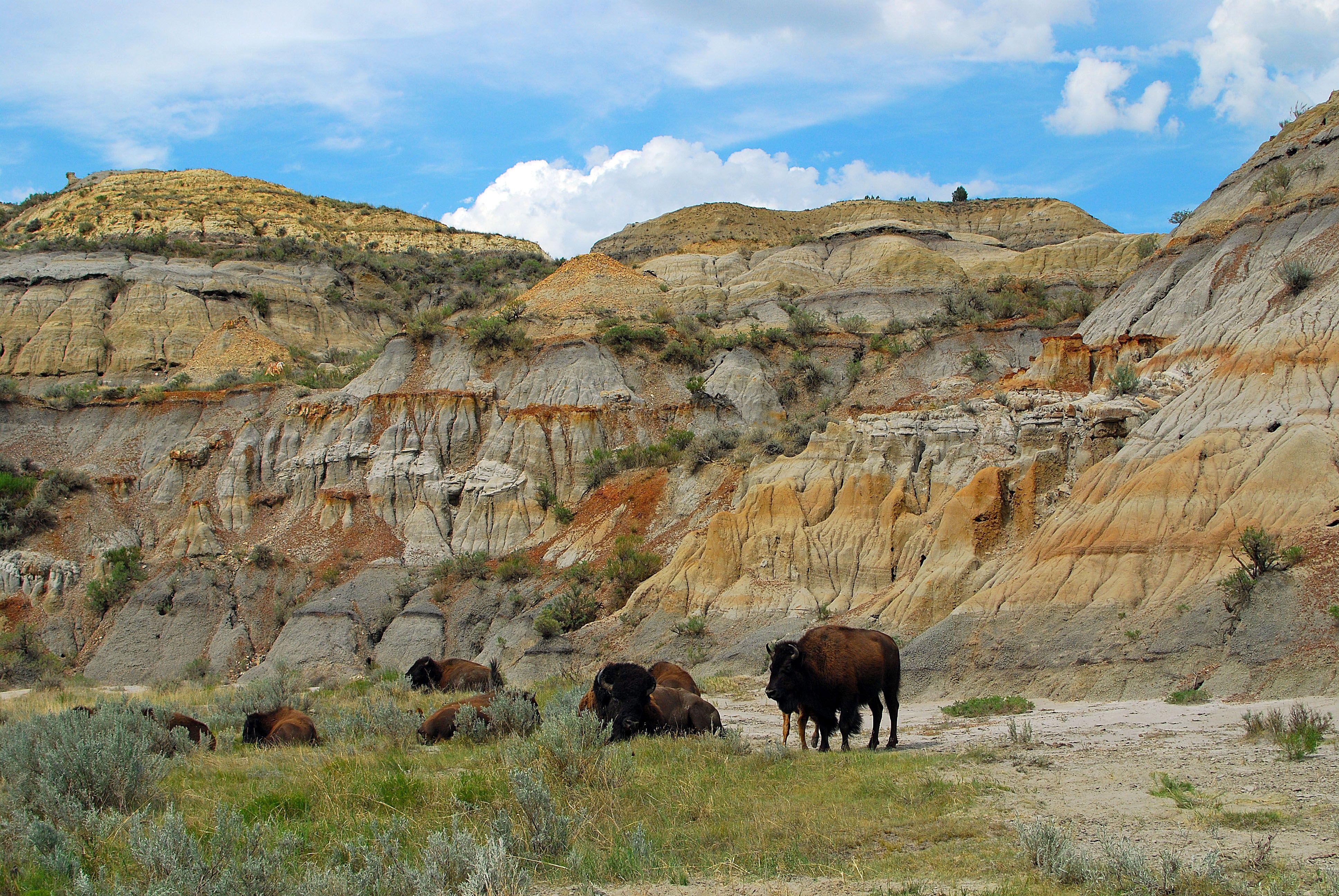 3880x2600 Check out Theodore Roosevelt National Park, North Dakota PHOTOS, Desktop