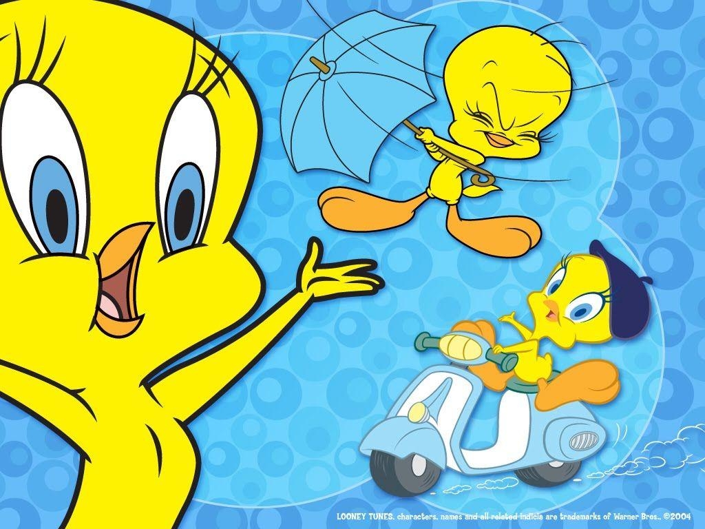 1030x770 Huskir: Tweety Best Wallpaper, Desktop