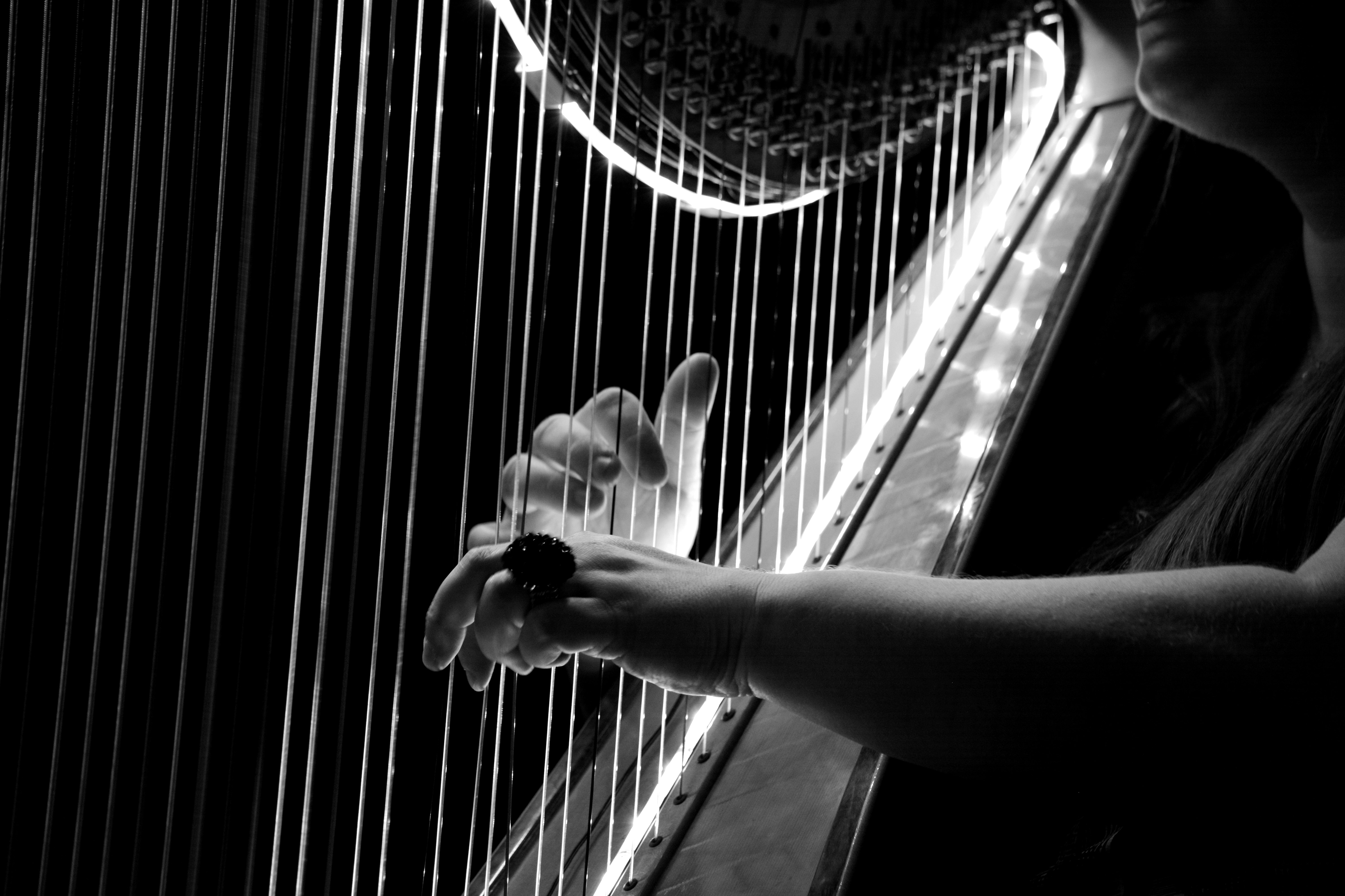 6000x4000 grayscale photo of harp free image, Desktop