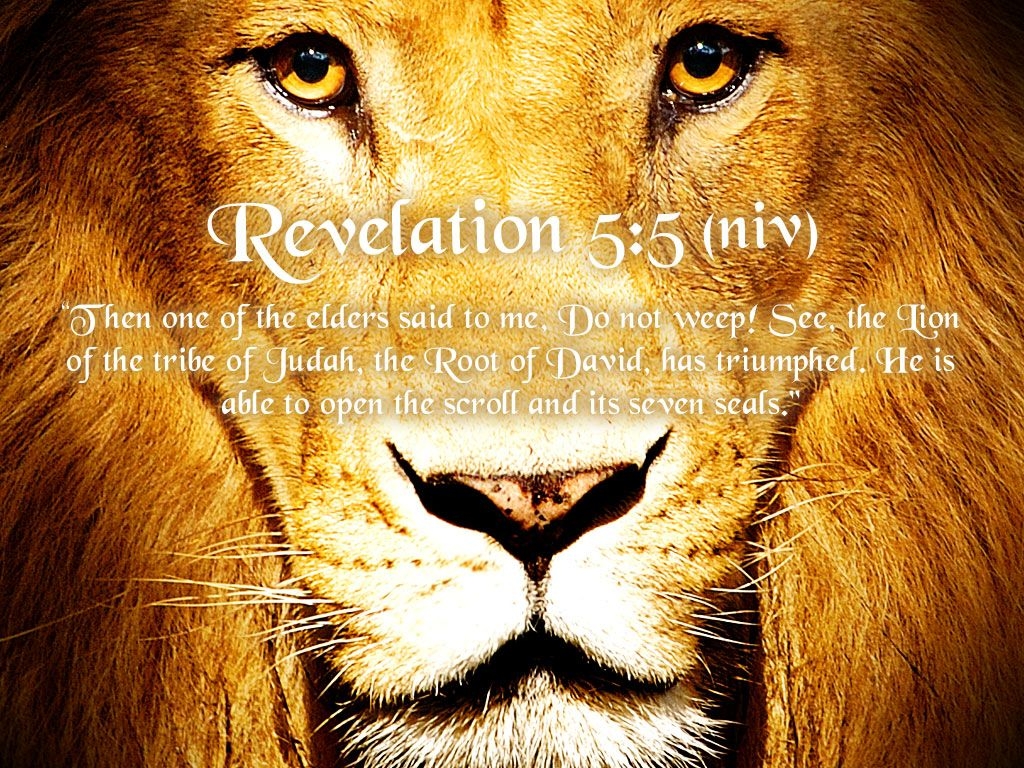 1030x770 Lion Of Judah Wallpaper, Desktop