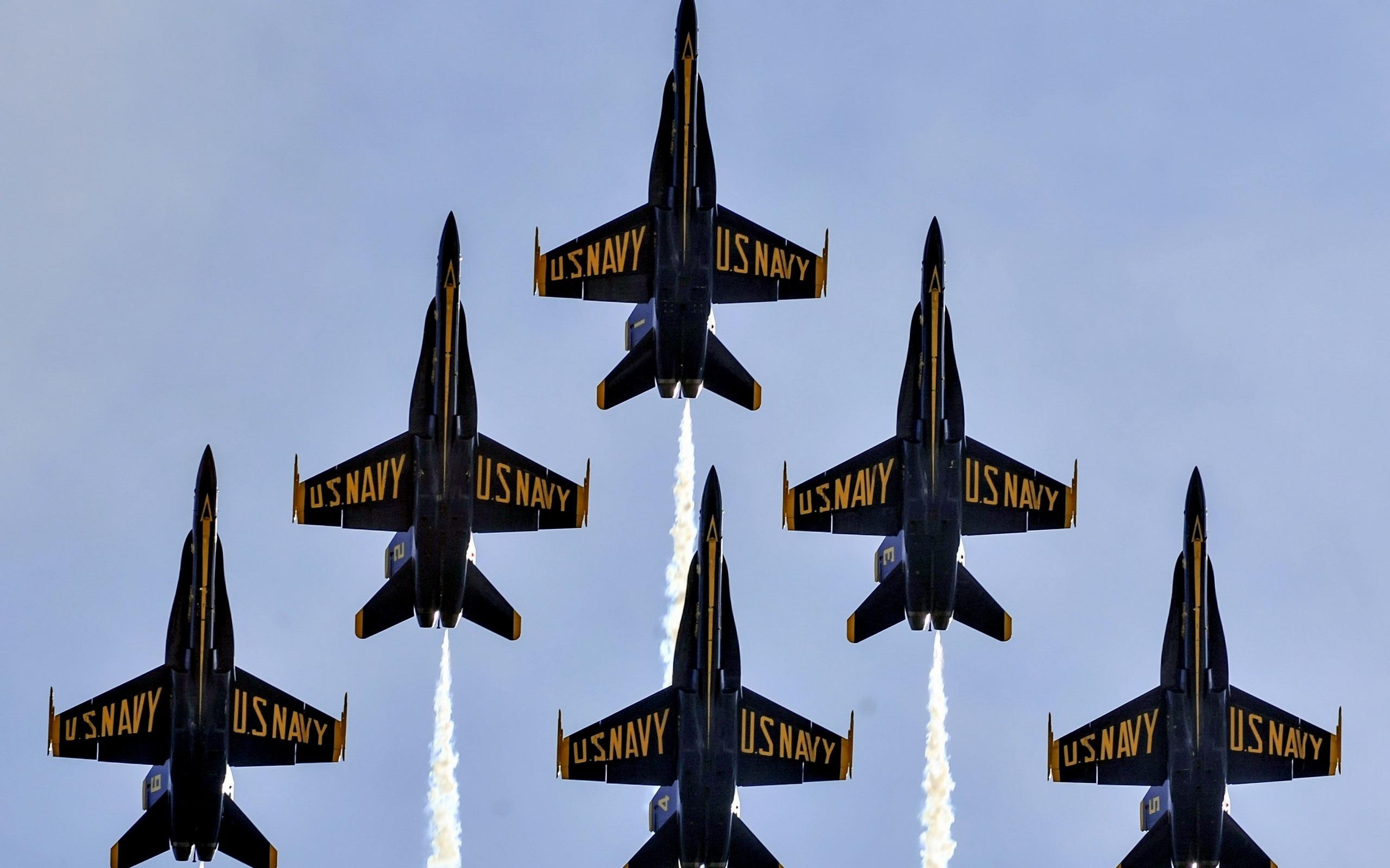 2560x1600 Download wallpaper Blue Angels, aviation aerobatics group, Desktop