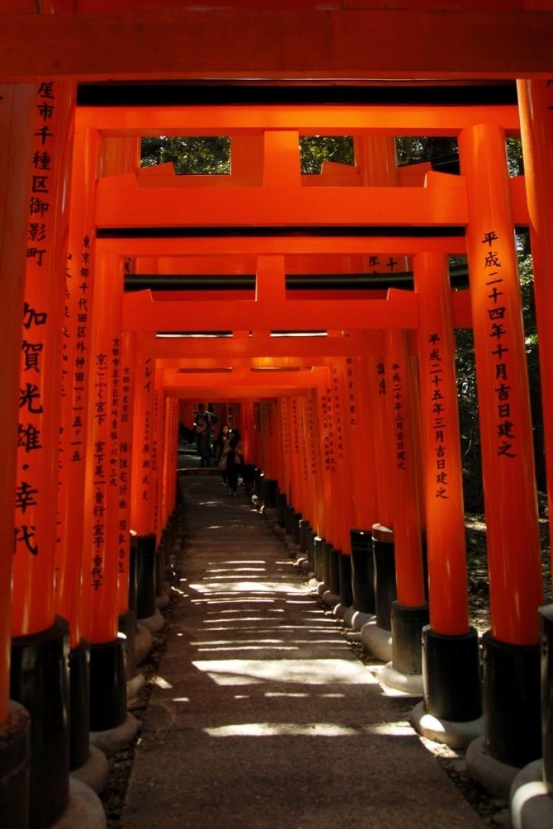 800x1200 Fushimi Inari Taisha 1 Background Image for Free Download, Phone