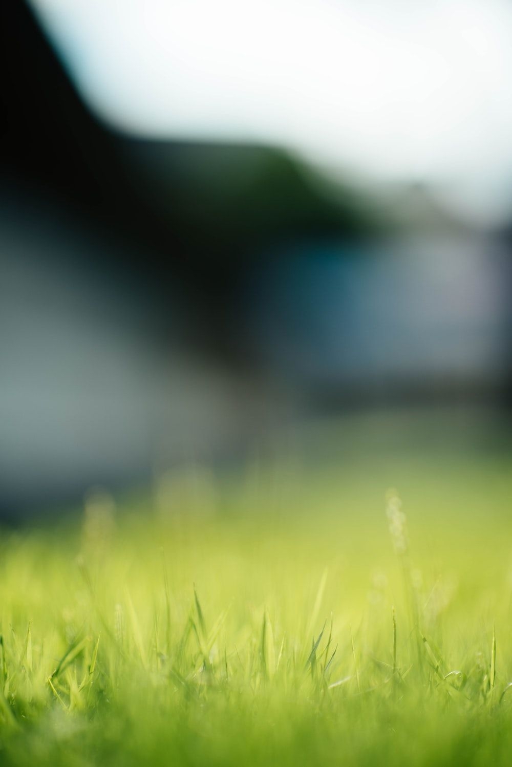 1000x1500 Grass Background Image: Download HD Background, Phone