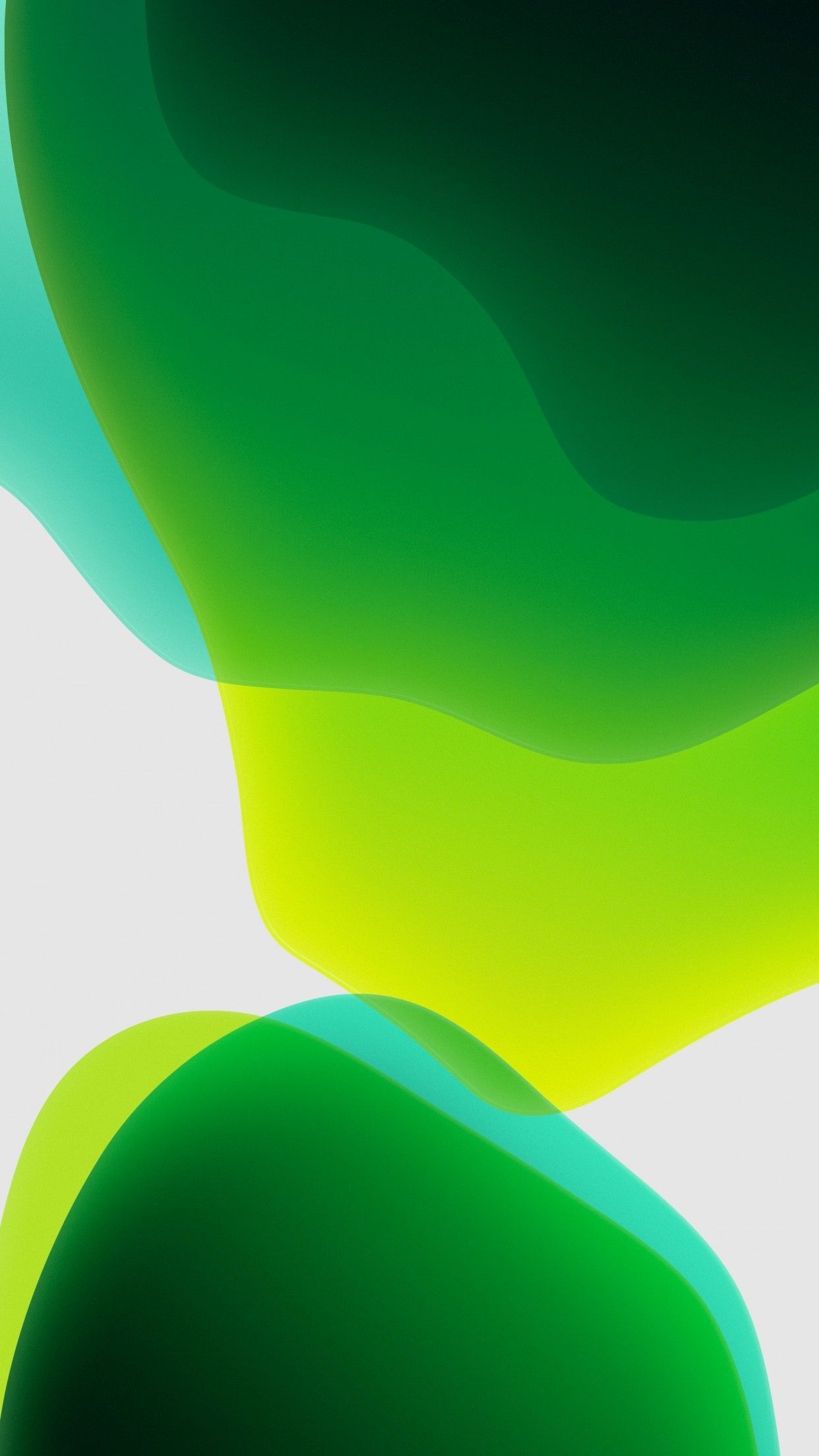 1250x2210 iPadOS 4K Wallpaper, Stock, Green, White background, iPad, iOS HD, Abstract, Phone