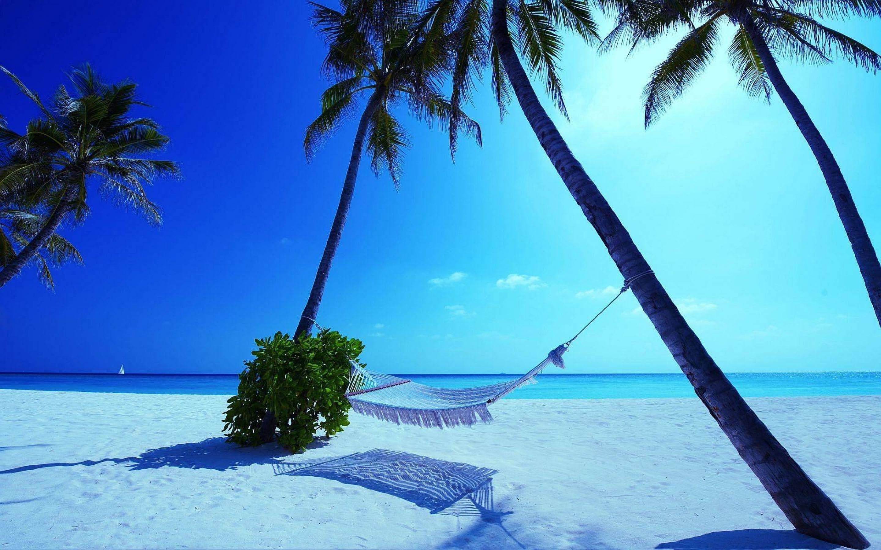 2880x1800 White Sand Maldives Beach Wallpaper in  Resolution, Desktop