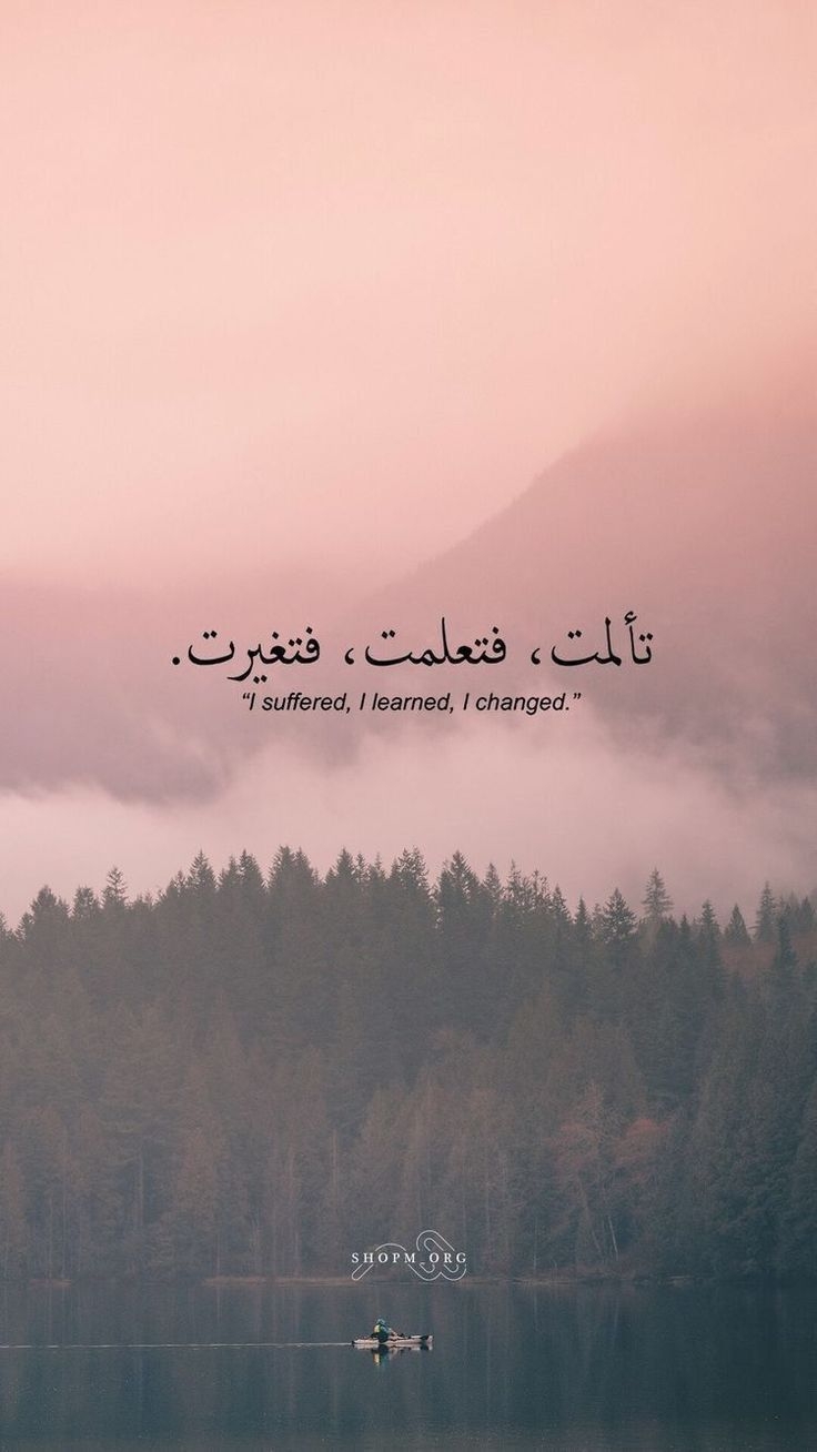 740x1310 Qoutes Islamic ✨, Phone