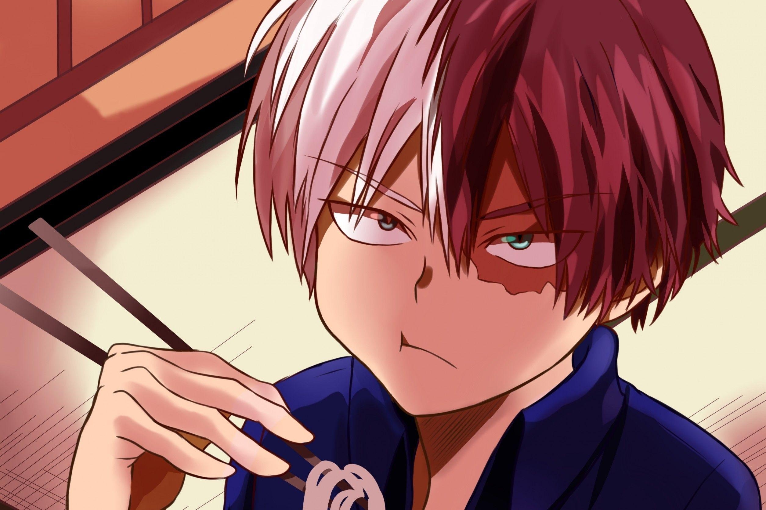 2510x1680 Why is Todoroki's eye blue and the other grey?, Desktop