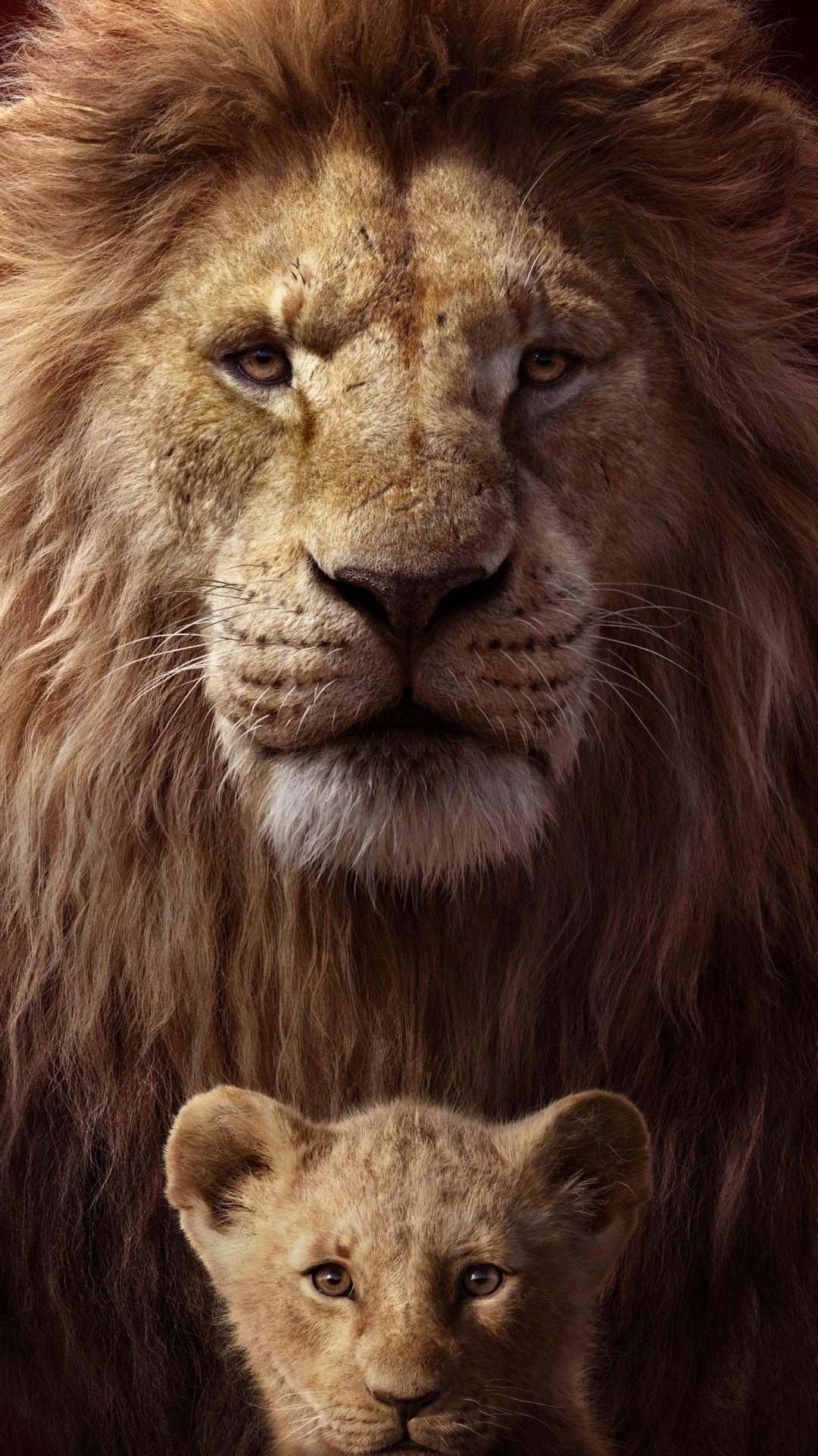 1080x1930 Lion King 2019 Wallpaper / iPhone HD Wallpaper Background Download HD Wallpaper (Desktop Background / Android / iPhone) (1080p, 4k) () (2022), Phone