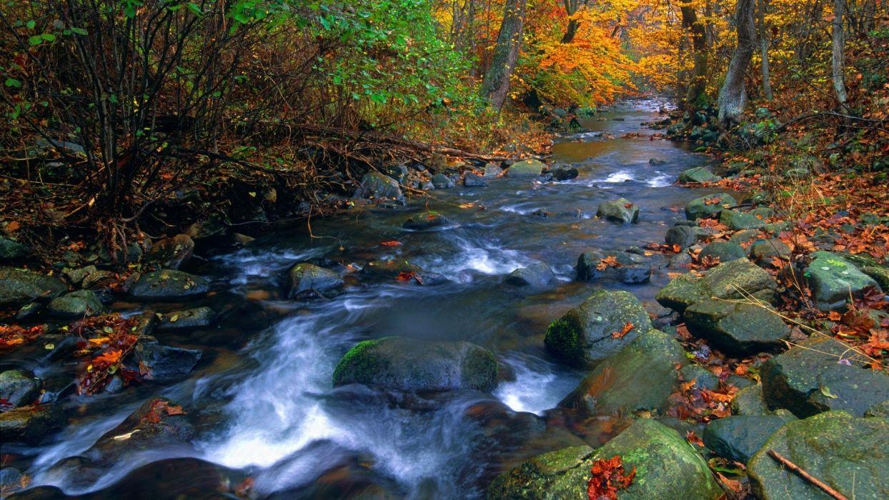 1250x700 Blue National Park shenandoah wallpaperx1080, Desktop