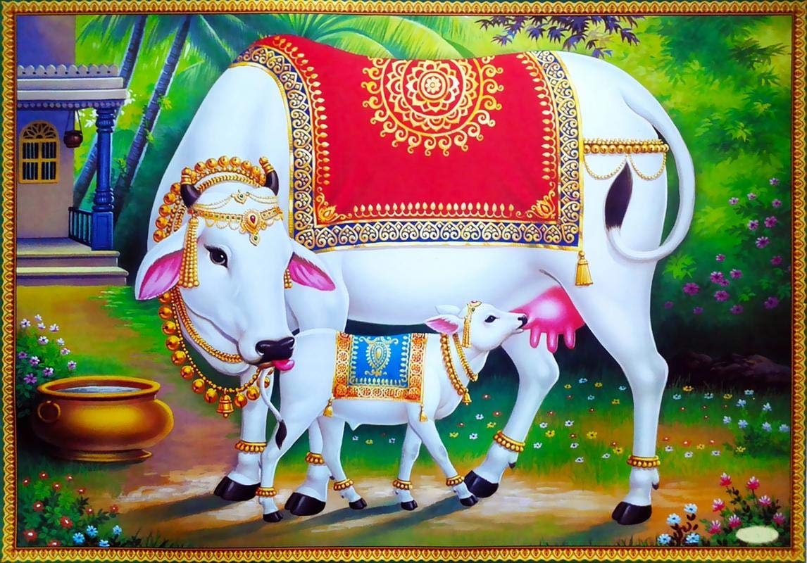 1150x800 PAPER PLANE DESIGN Hindu Religious Kamdhenu Cow with Calf Unframed Wall Poster (Paper, 12 x 18 inch, Multicolour), multicolor- Buy Online in Costa Rica at Desertcart, Desktop