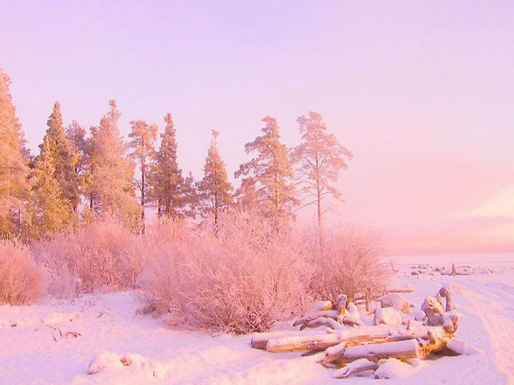 1030x770 Pink Winter Wallpaper Free Pink Winter Background, Desktop