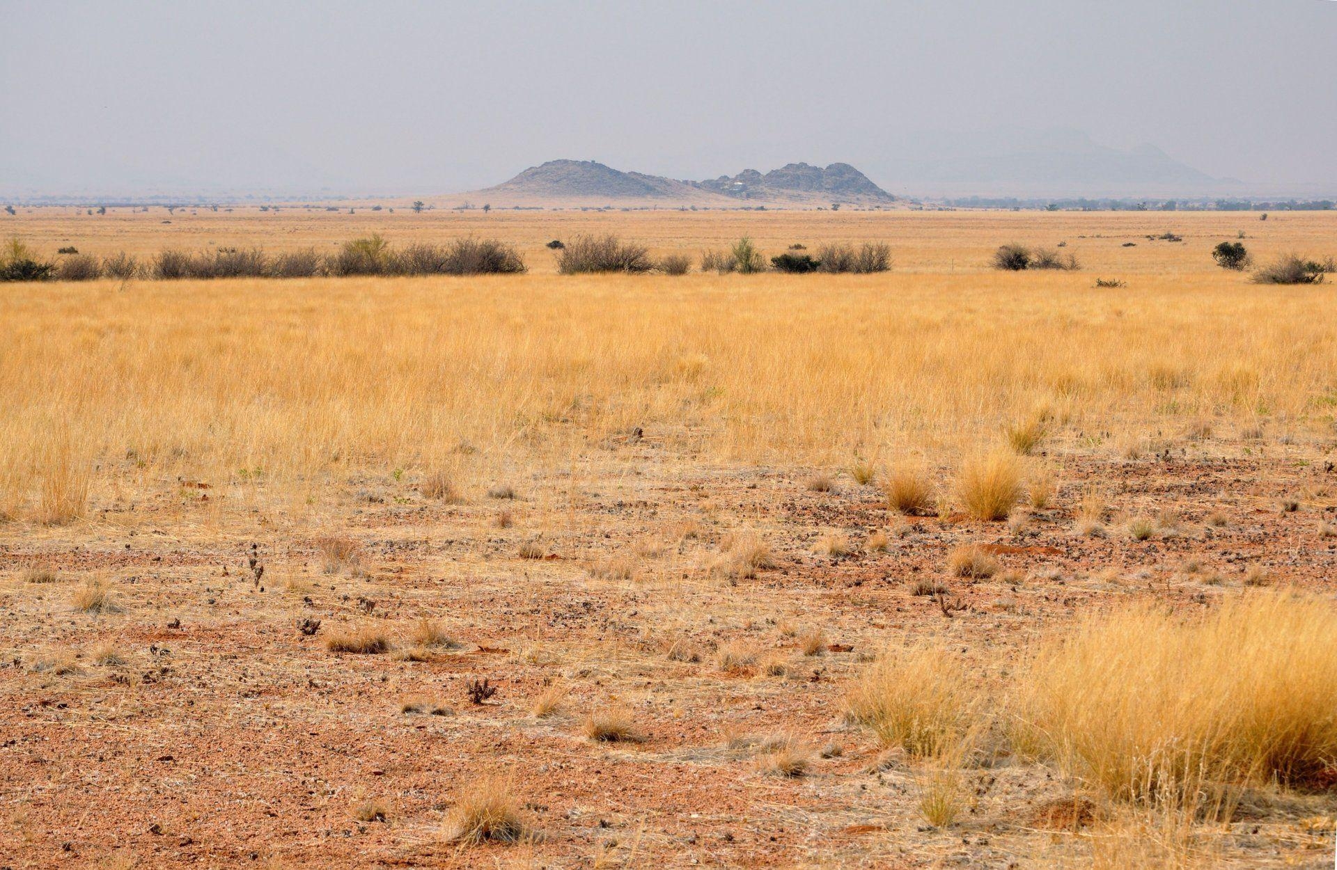 1920x1250 africa south africa namibia landscape desert savannah HD wallpaper, Desktop