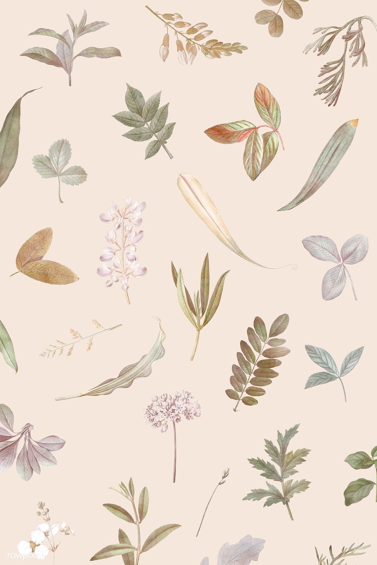 1200x1800 Download premium vector of Foliage pattern on beige background vector by Sasi about dried flower, autumn, Flower phone wallpaper, tropical flower, and flower dr. Beige background, Wallpaper background, Flower phone wallpaper, Phone