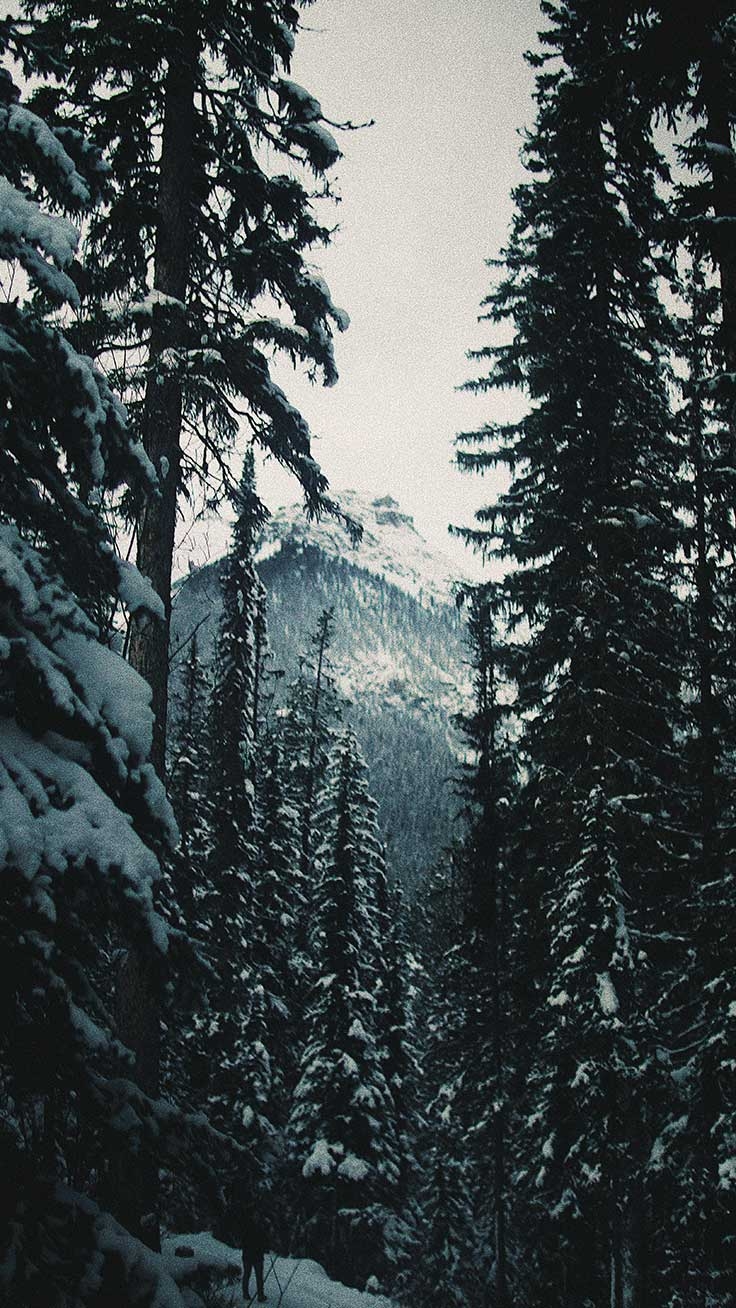 740x1310 x Winter Landscapes iPhone Wallpaper Collection, Phone