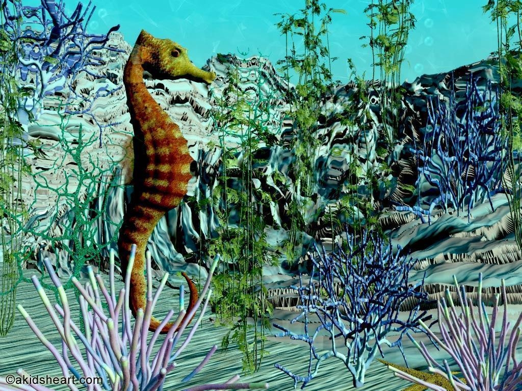 1030x770 Seahorse Desktop Wallpaper, Desktop