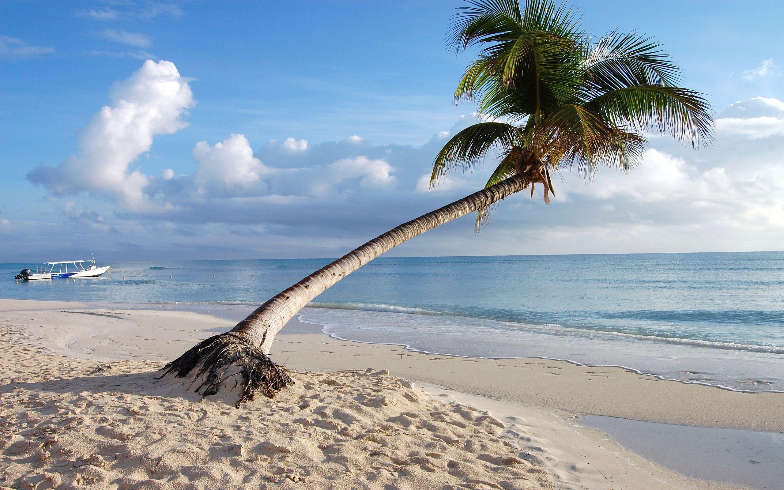 2560x1600 Palm Beach Solomon Islands, Desktop