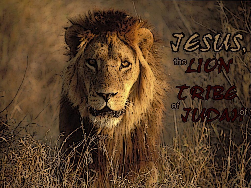 1030x770 Jesus Lion Wallpaper Free Jesus Lion Background, Desktop