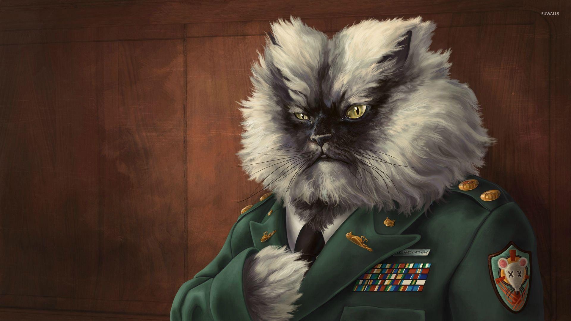 1920x1080 Colonel Meow wallpaper wallpaper, Desktop